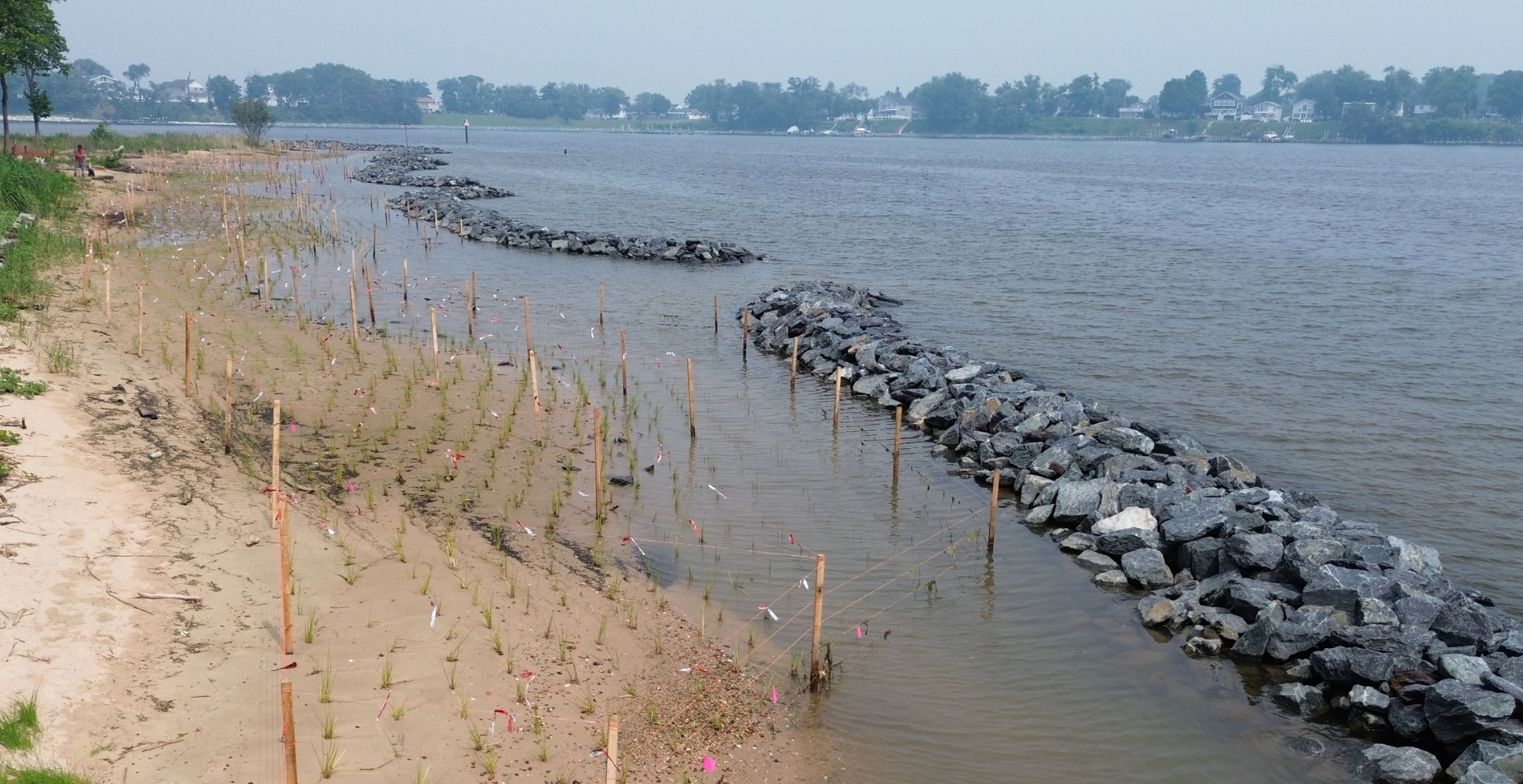 WSA's Summer Learning Series - The Critical Area