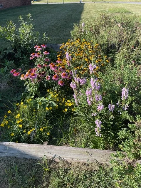 WSA's Living and Learning Our Watershed