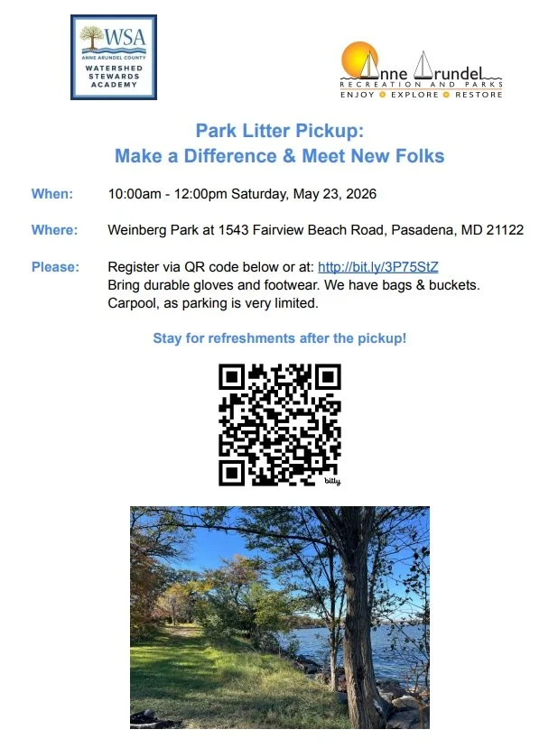 Litter Clean-up at Weinberg Park