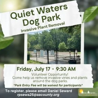 Quiet Waters Dog Park Invasive Plant Removal