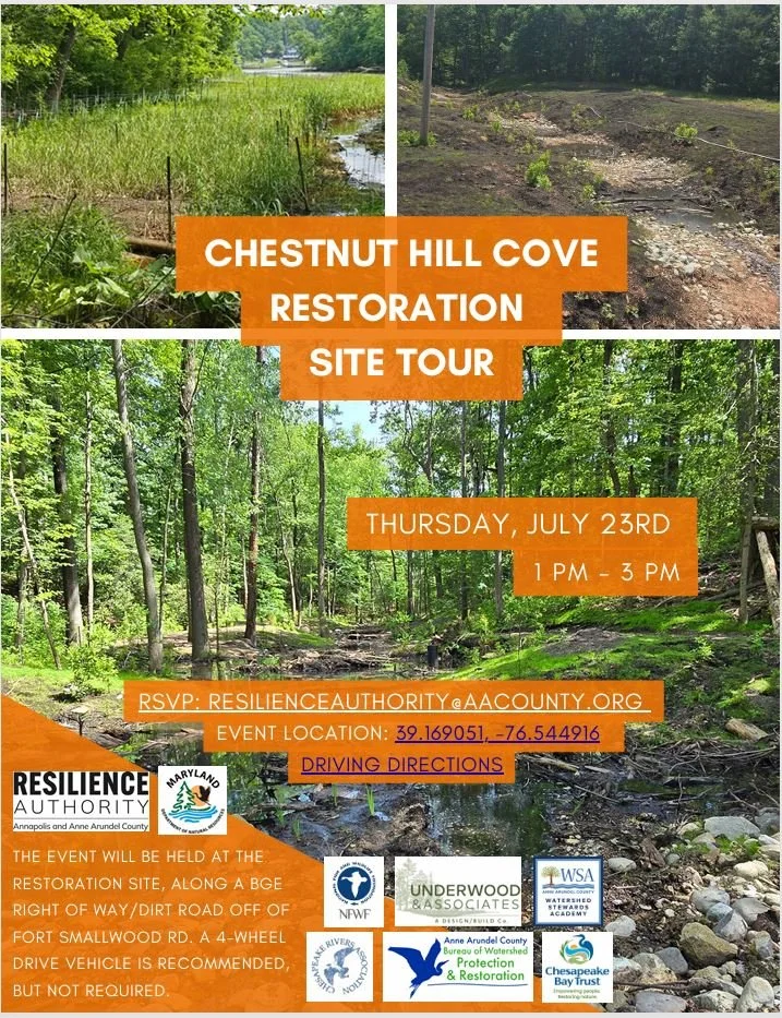 Chestnut Hill cove Restoration Site Tour