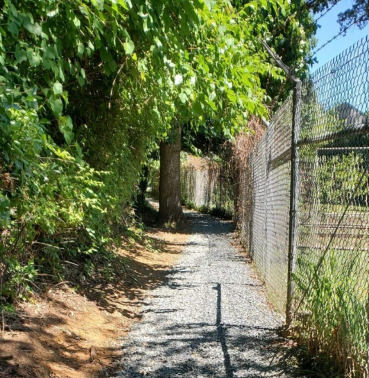 CCC: Swim Path Clean Up &amp; Invasive Removal