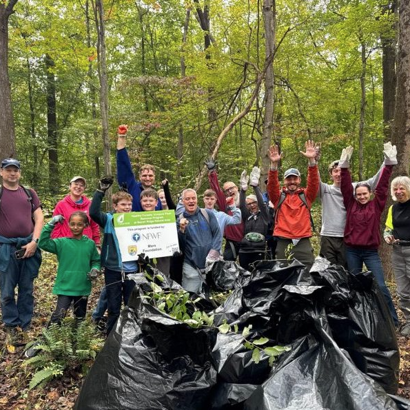Healthy Forests Workday: Invasive Plant Removal at Bacon Ridge Natural Area