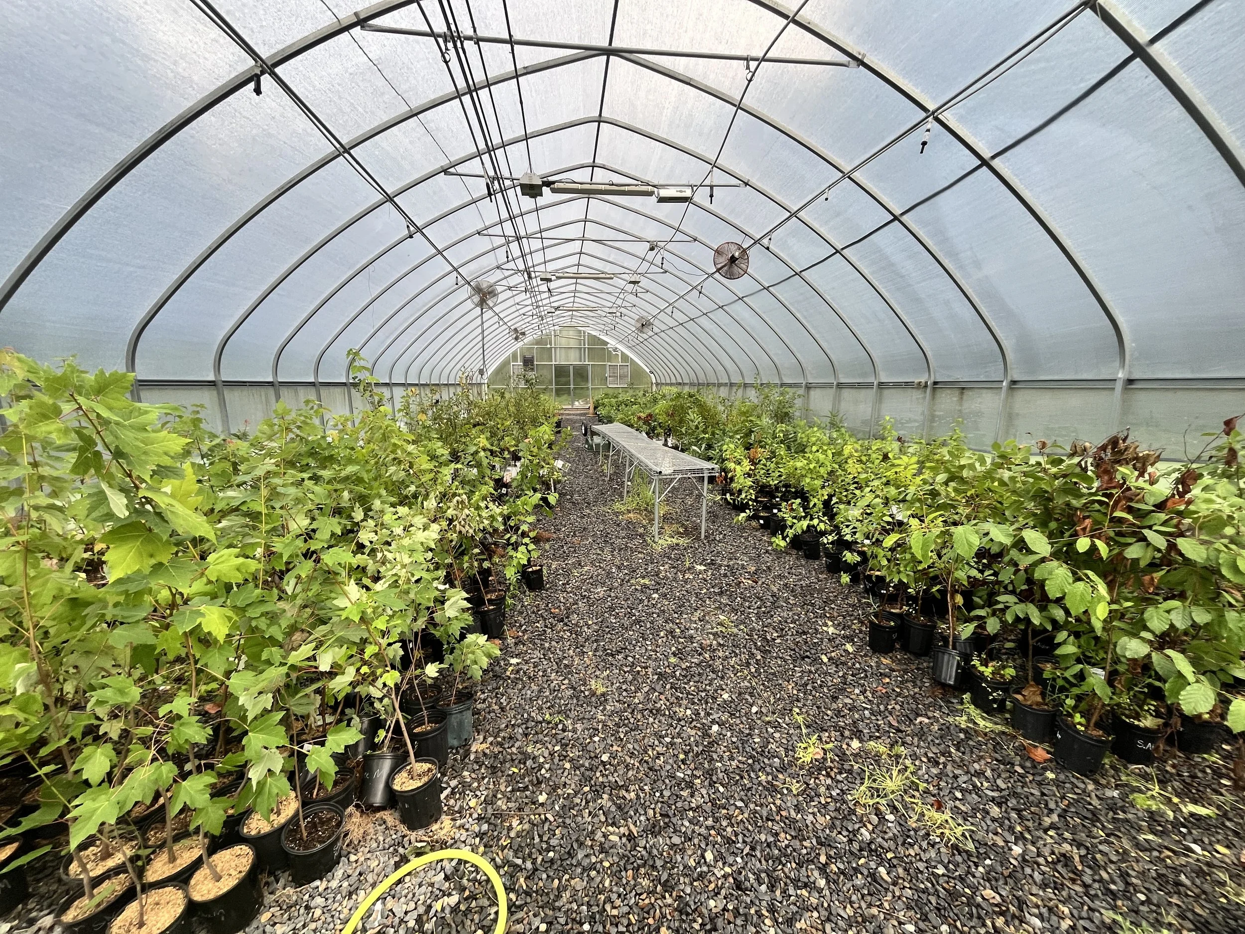 Volunteer Opportunity - Unloading Plants with Arlington Echo! 