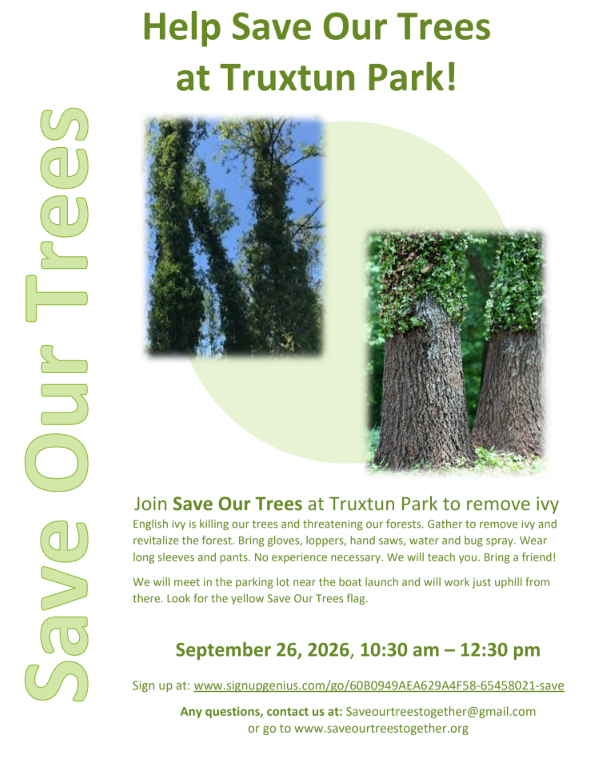 WSA's Save Our Trees | Truxtun Park Invasive Ivy Removal
