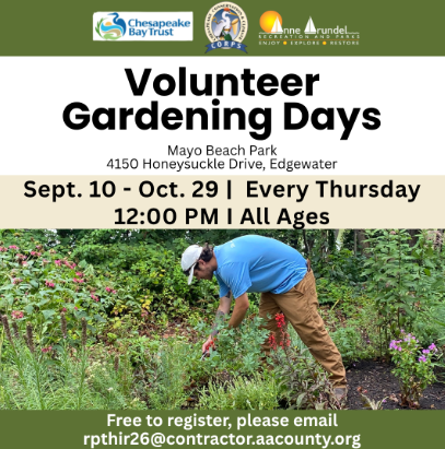 Mayo Beach Park Volunteer Gardening Days