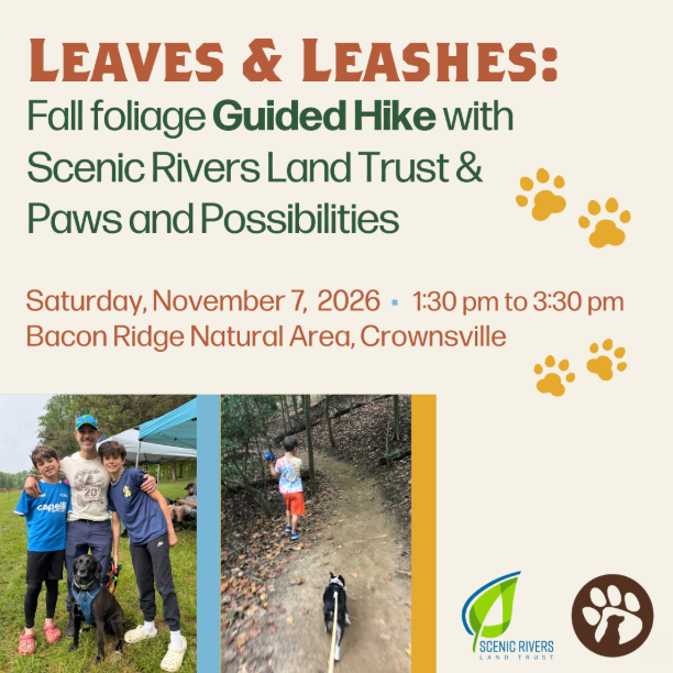 Scenic Rivers Land Trust | Leaves &amp; Leashes: Fall Foliage Guided Hike