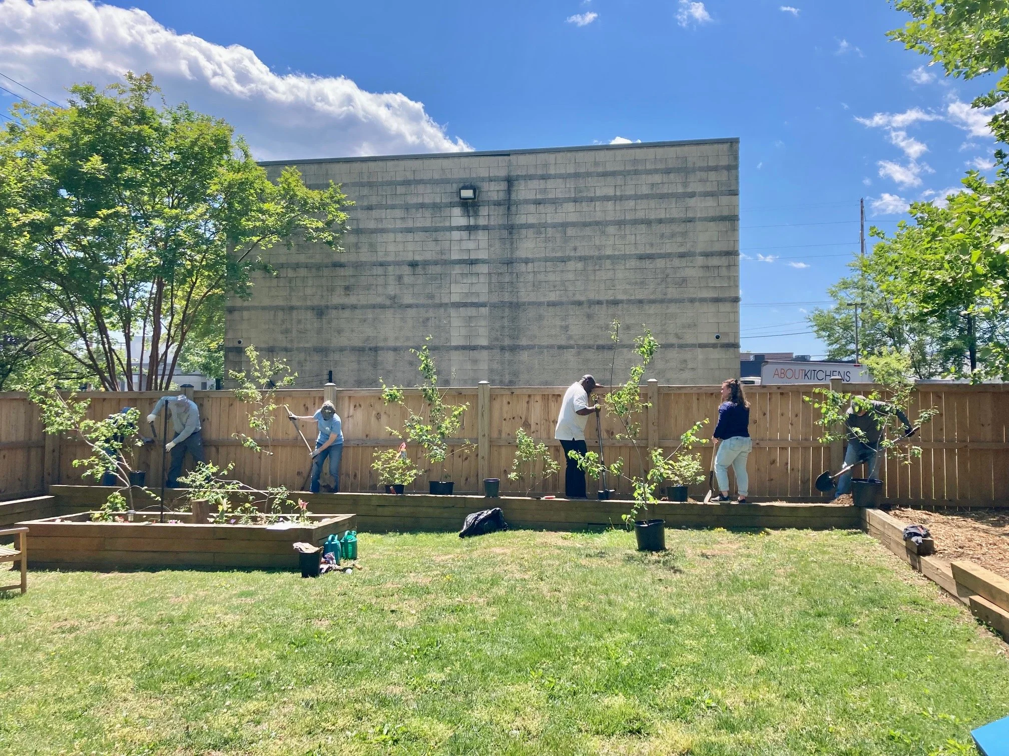 Lighthouse planting.jpg