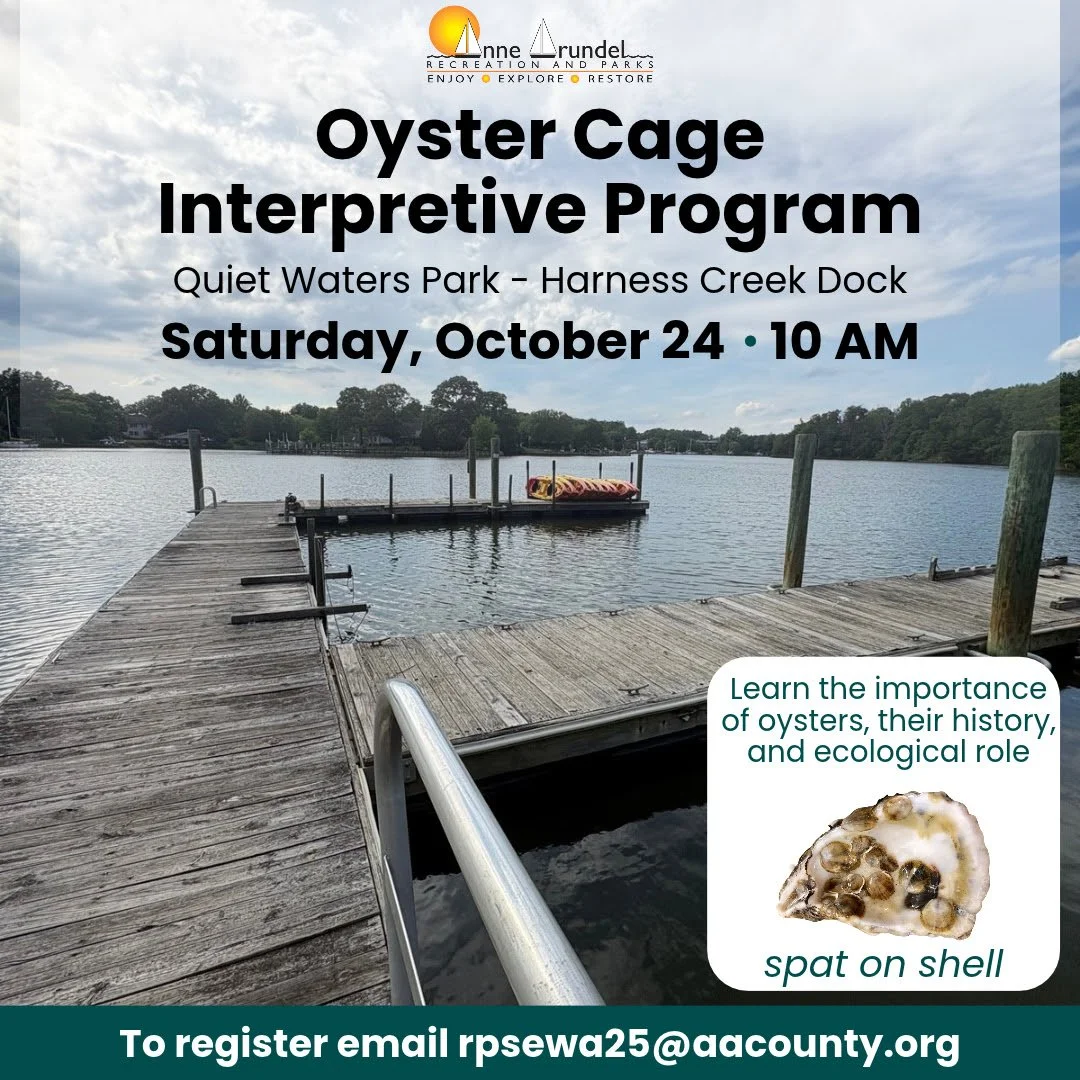 Anne Arundel County | Oyster Cage Interpretive Program, Quiet Waters Park