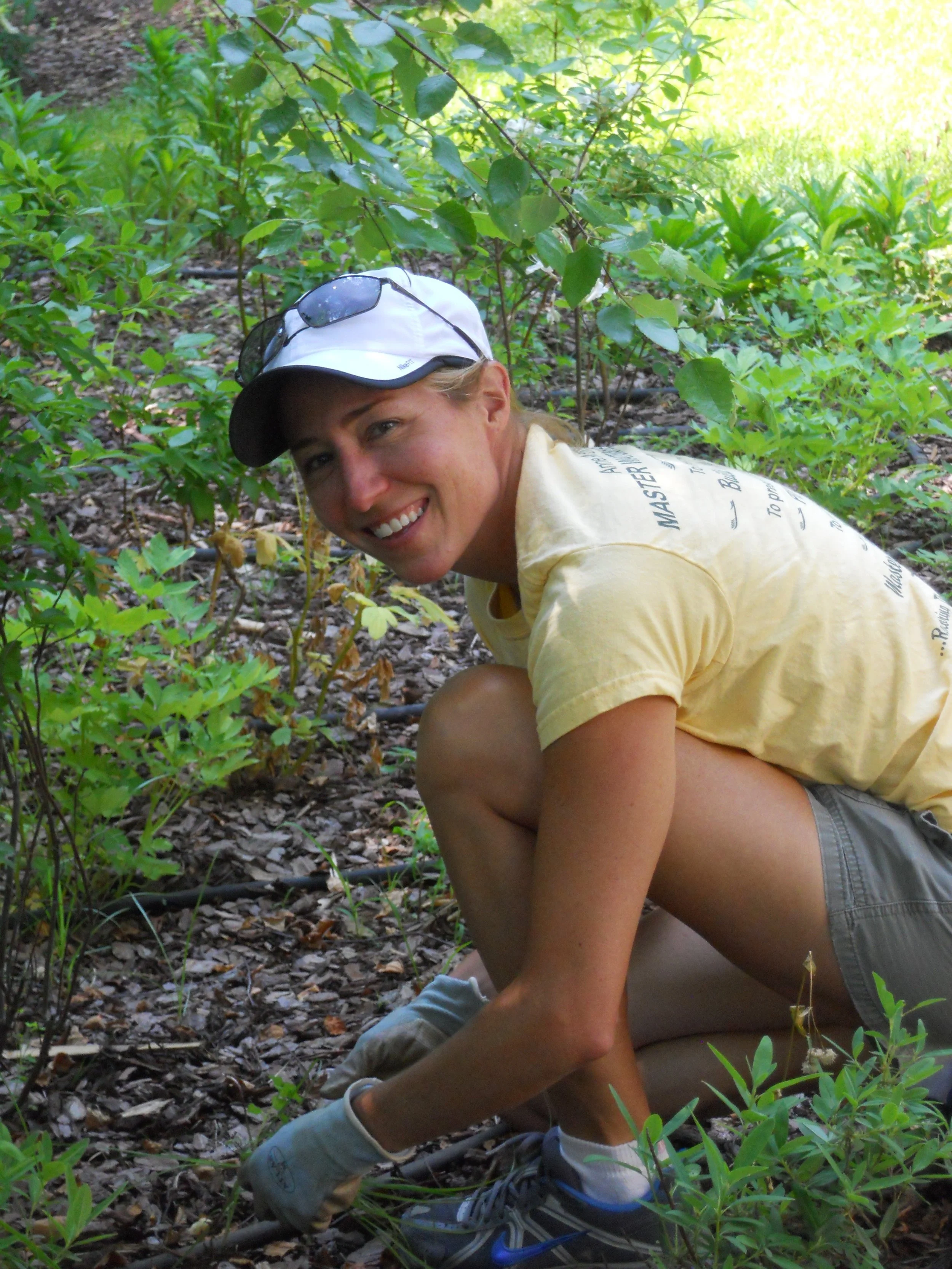 Anne Arundel County Watershed Stewards Academy Restoring Local
