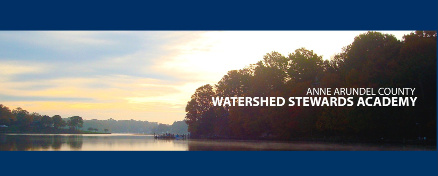 Website cover (2000 x 600 px).png