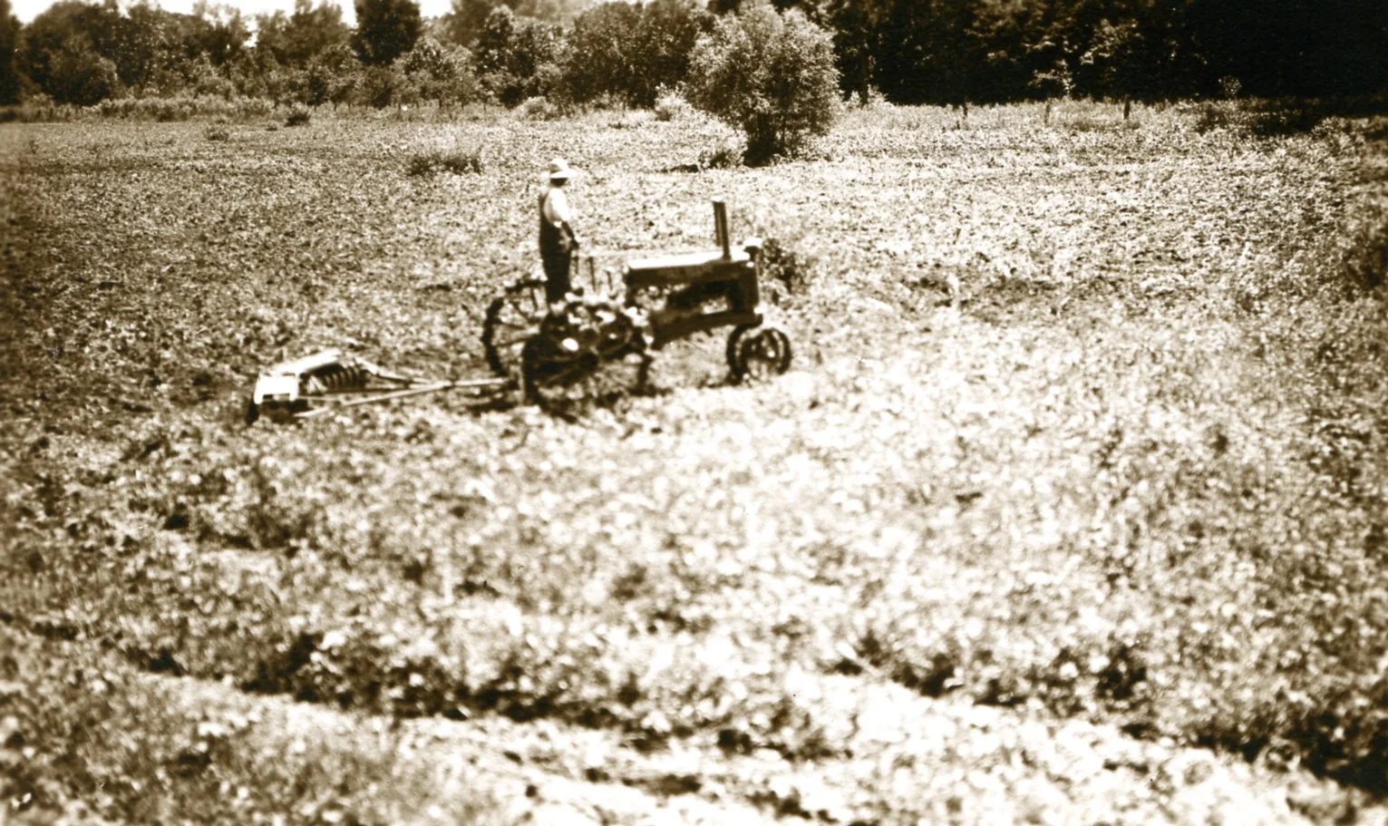 aloysiusschraeder001.jpg
