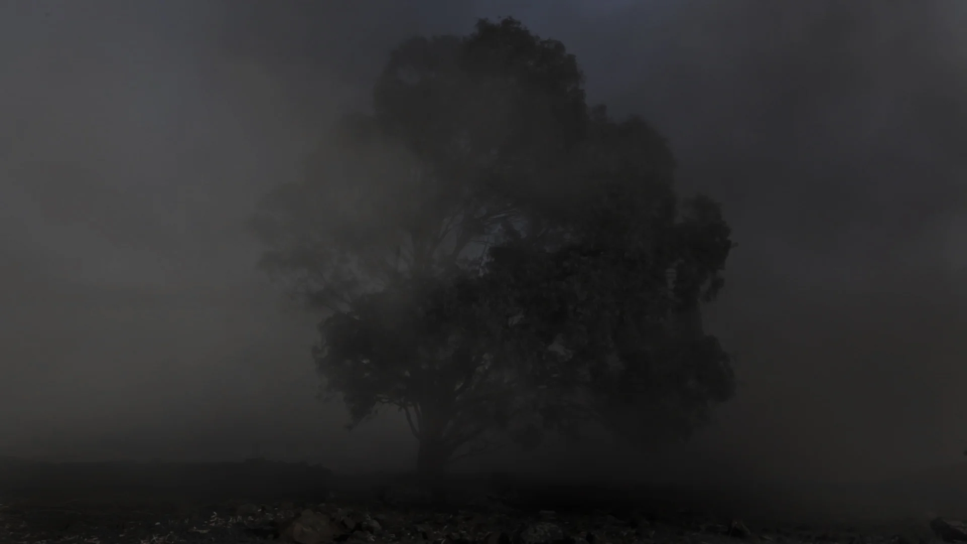 Untitled Landscape, 2015, 2.5 min. (Stills from Video)