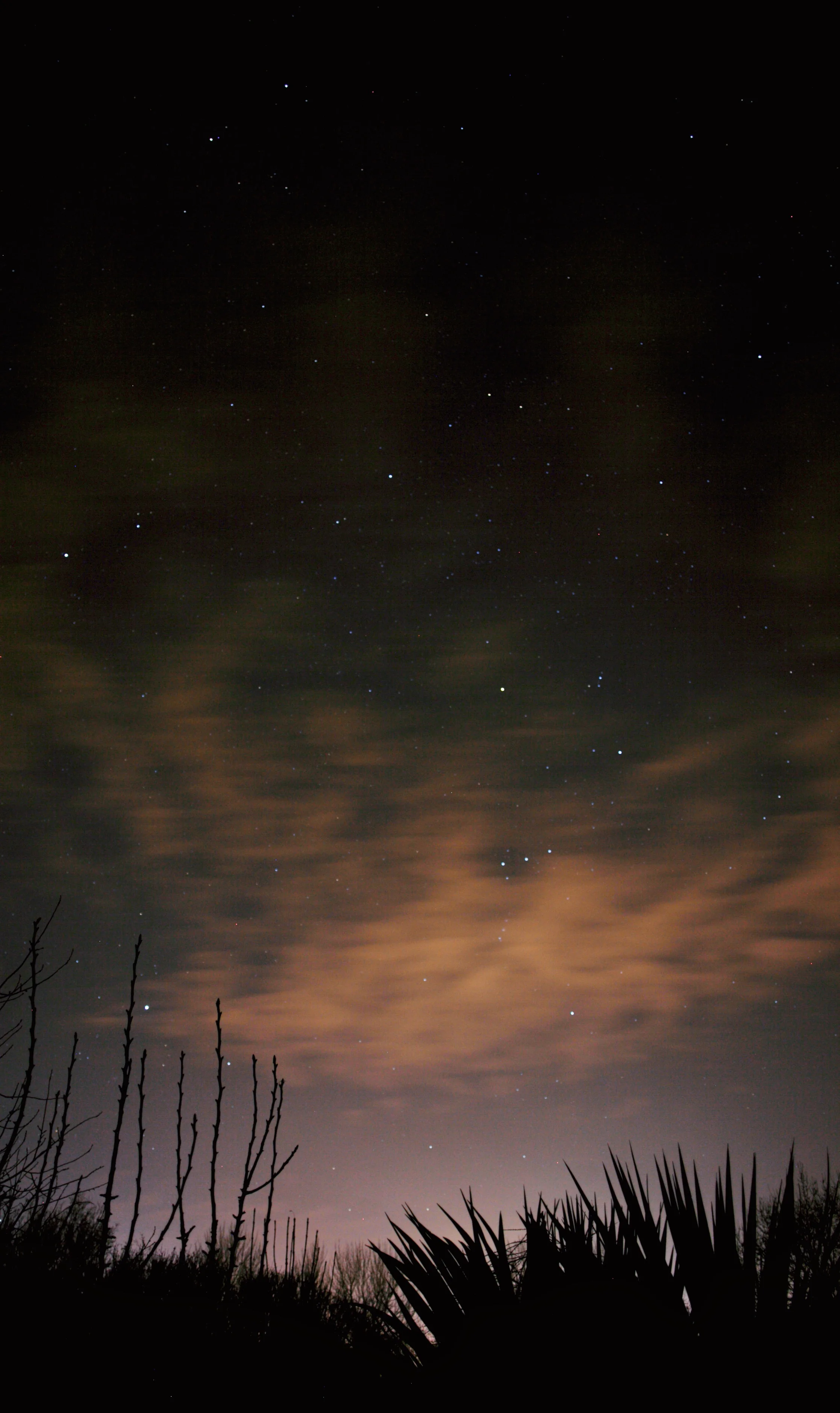 Stars 2.jpg