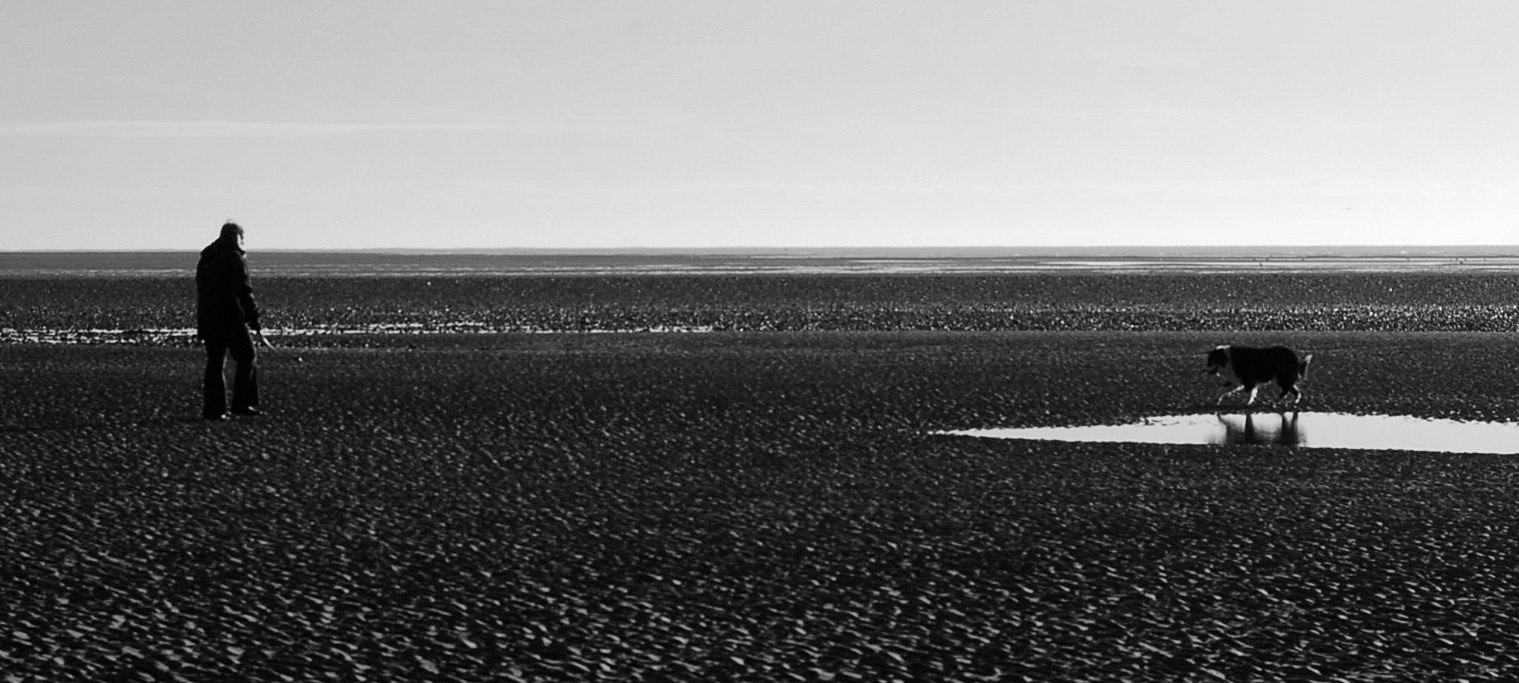 Beach14thfeb 186.jpg