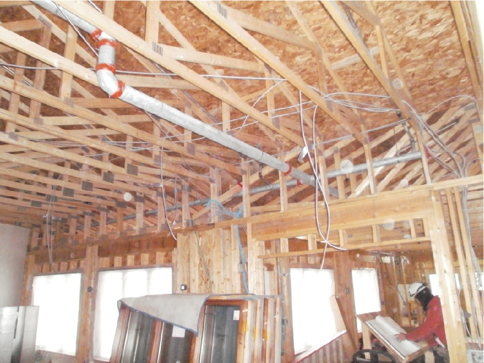 Pine Haven 12-5-14-05.jpg