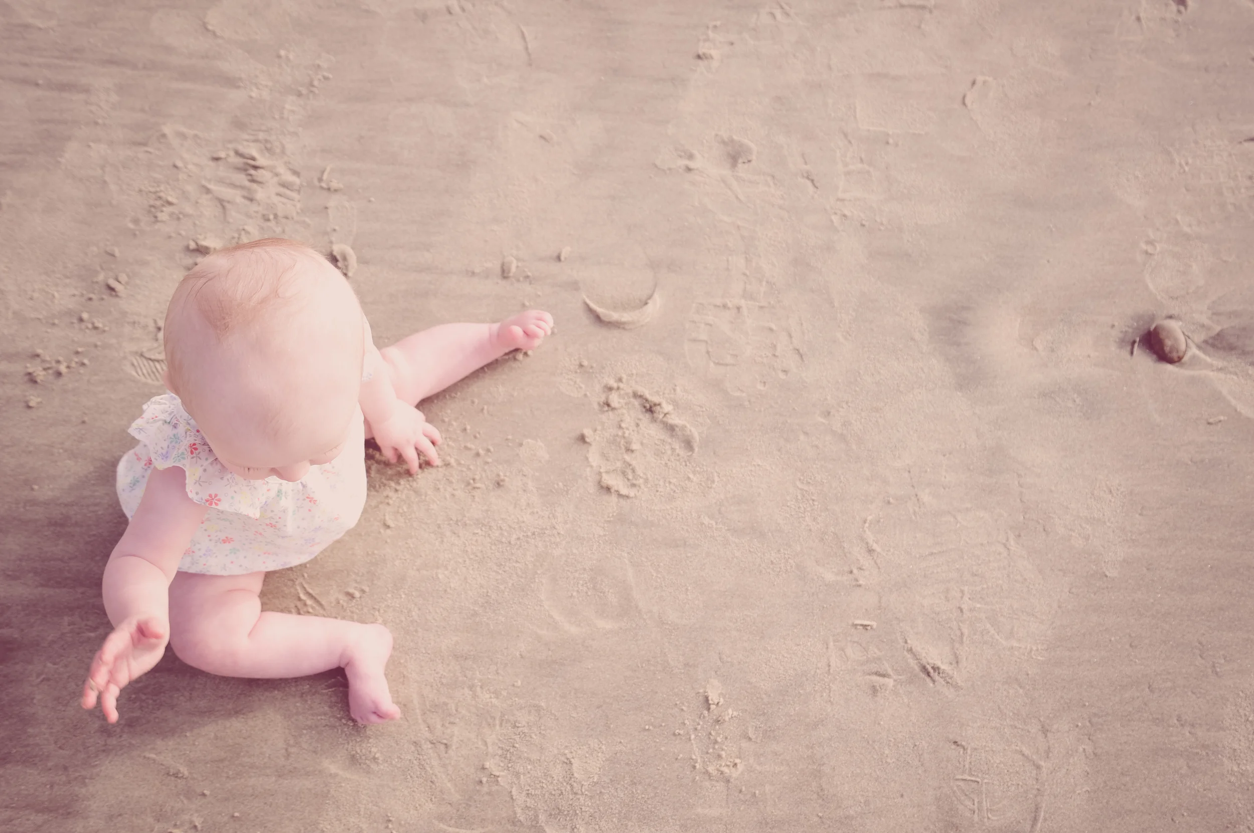Newborn Photo Session