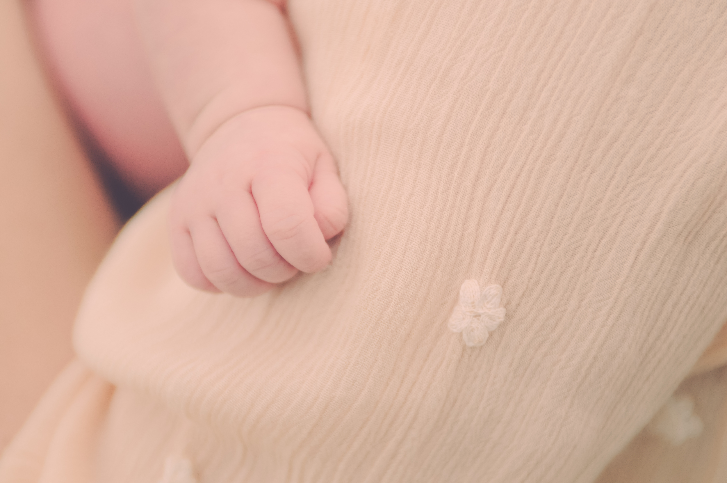 Newborn Photo Session
