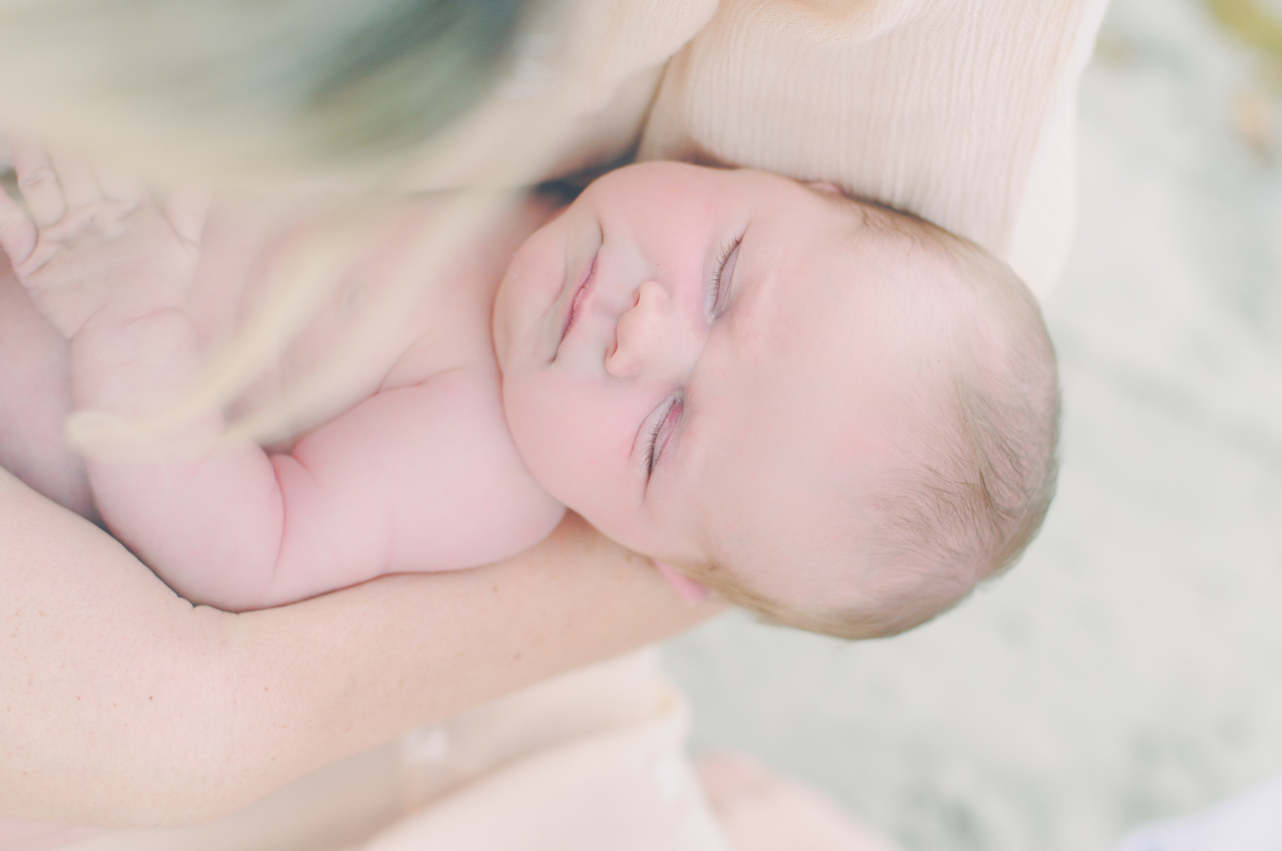 Newborn Photo Session