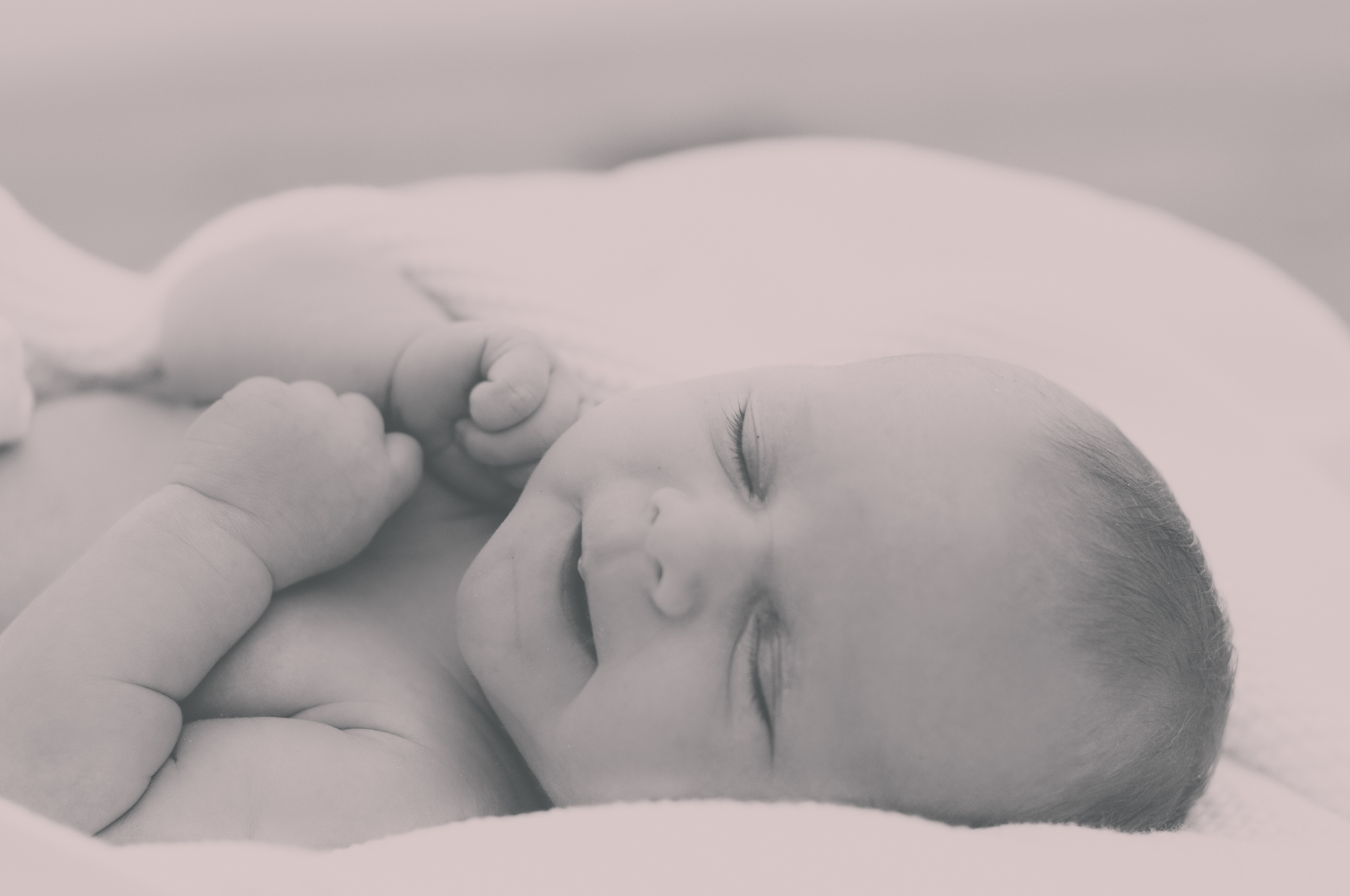 Newborn Photo Session