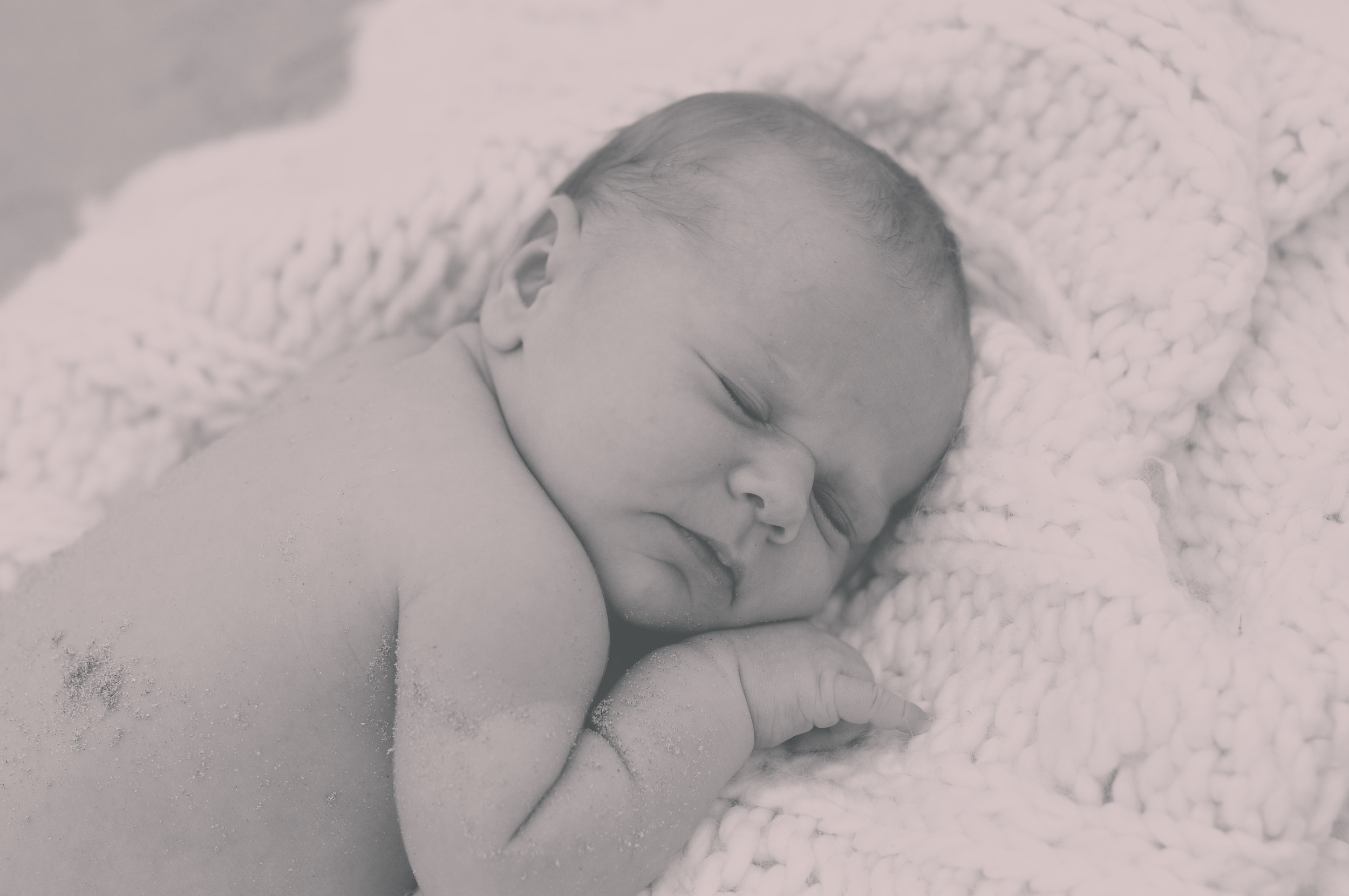 Newborn Photo Session