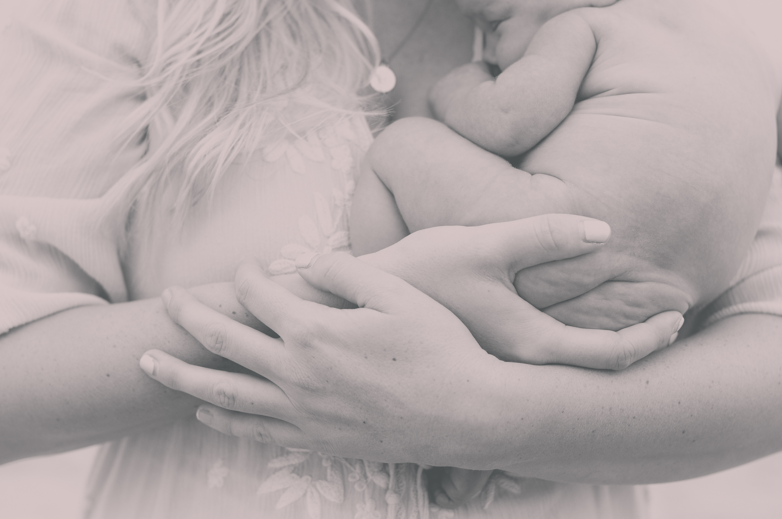 Newborn Photo Session