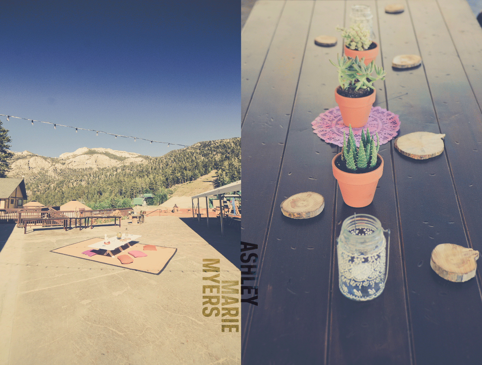 Mount Charleston Wedding, Bohemian Las Vegas Wedding, Las Vegas Boho Wedding, Flora Pop Flowers
