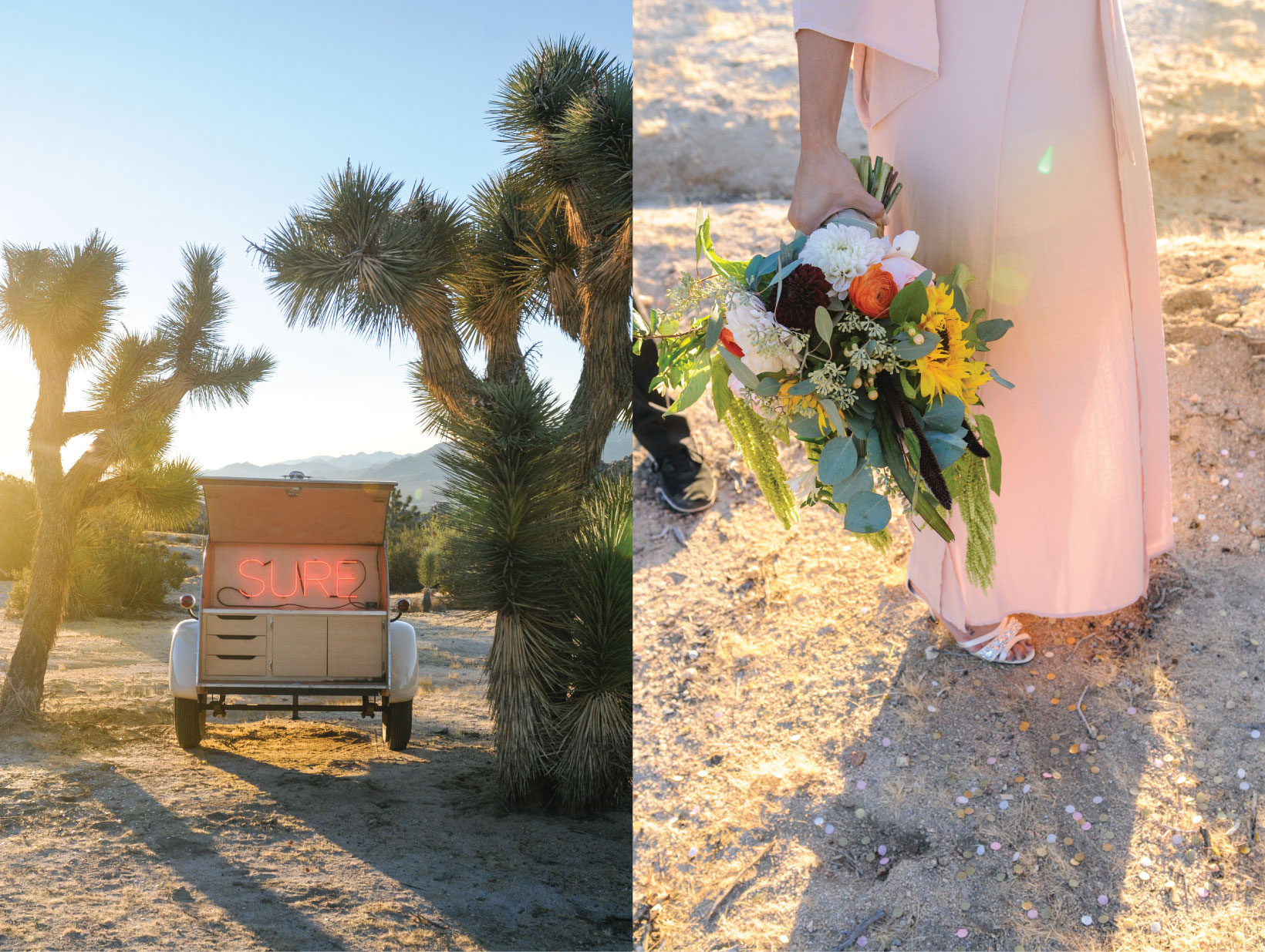 Joshua Tree Elopement, Joshua Tree Wedding, Joshua Tree, CA, Pink Wedding Dress, sunrise wedding, sunrise elopement, Flora Pop Elopement