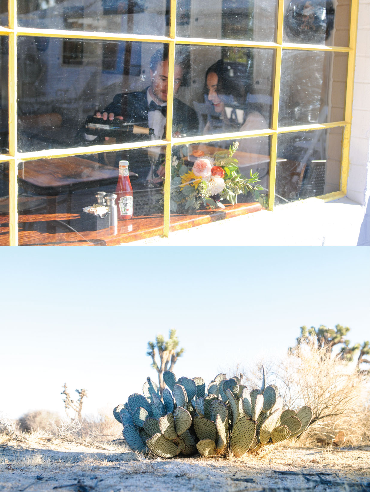 Joshua Tree Elopement, Joshua Tree Wedding, Joshua Tree, CA, Pink Wedding Dress, sunrise wedding, sunrise elopement, Flora Pop Elopement