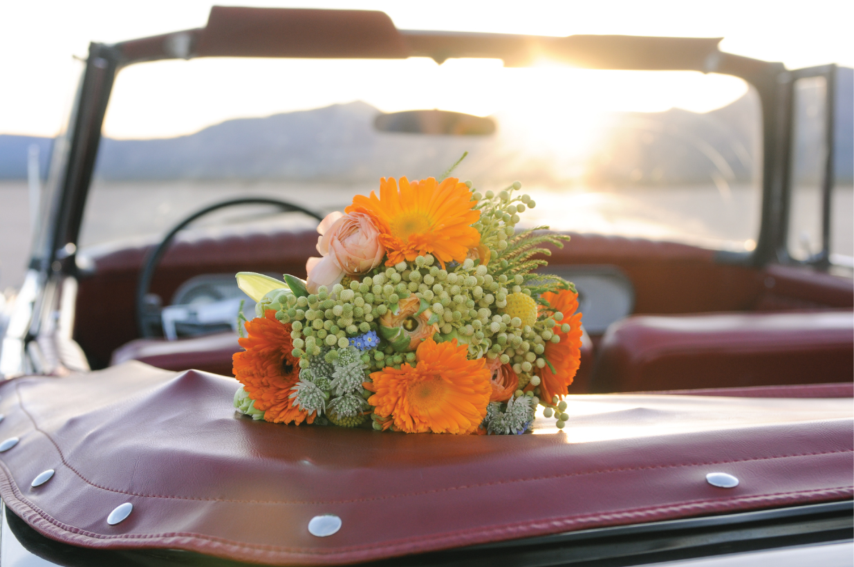 pop up wedding, las vegas elopement, ashley marie myers, las vegas wedding, elopement, desert elopement, vintage elopement