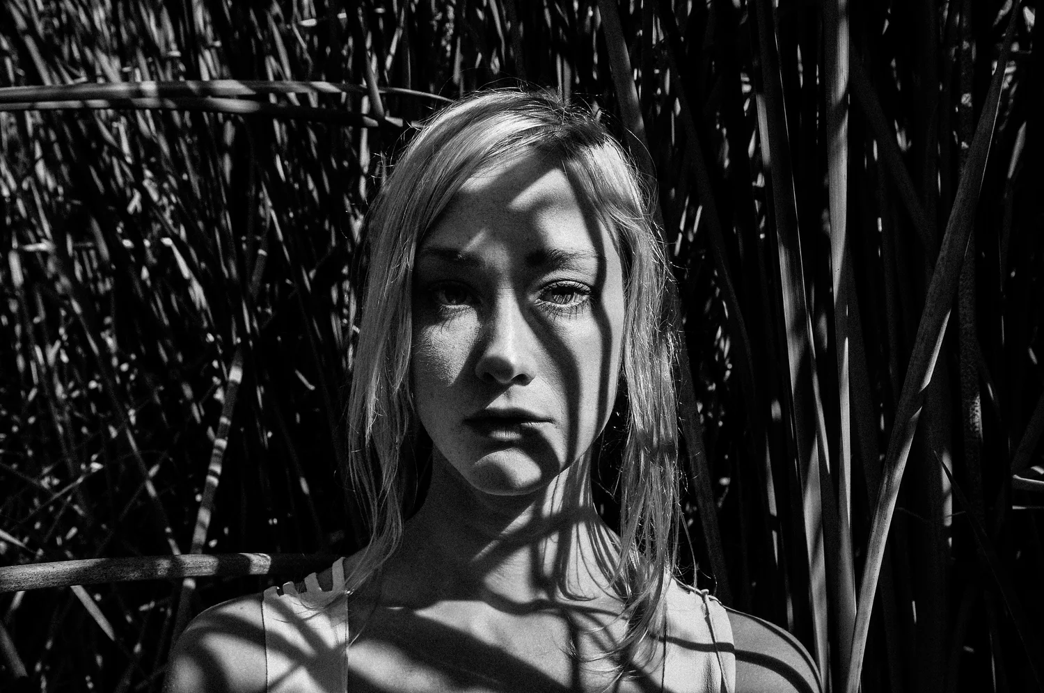 Shadows roped me into this... a portrait