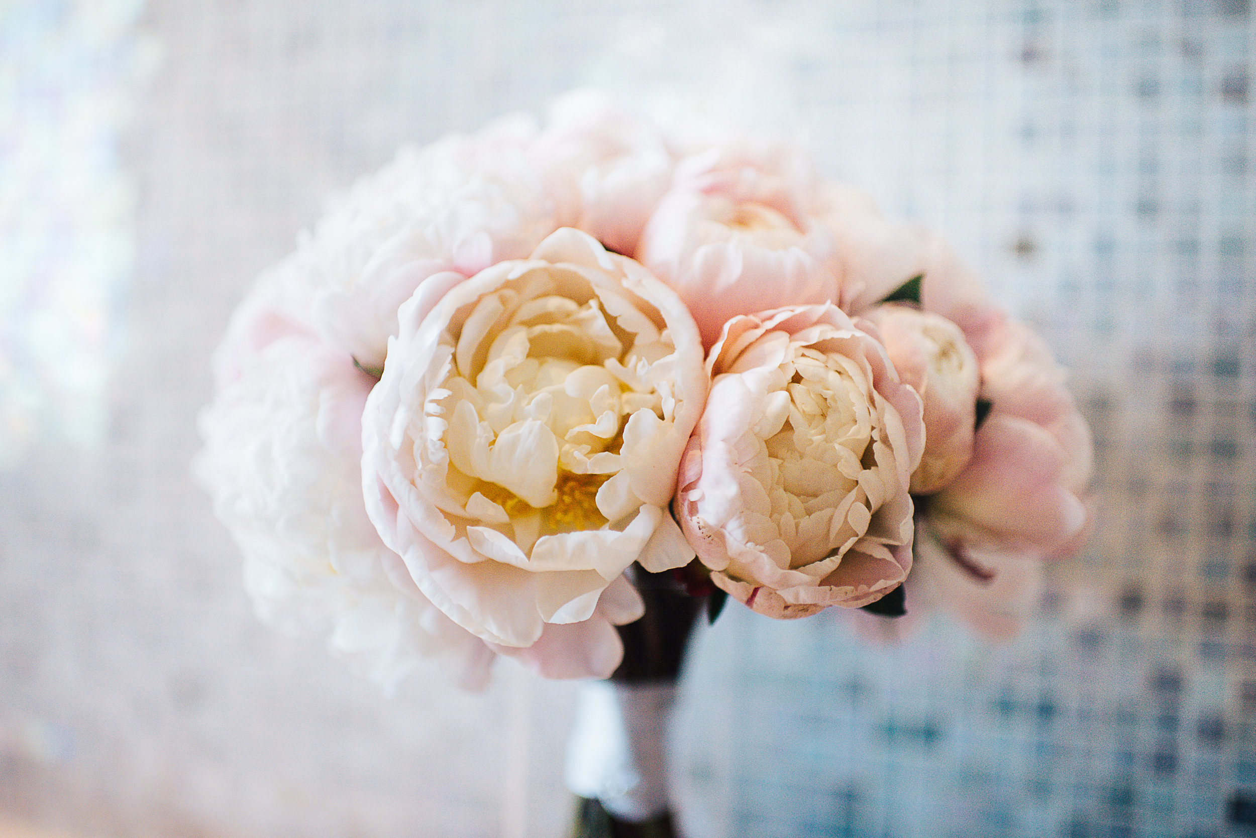 las vegas cosmopolitan wedding, las Vegas wedding, las vegas elopement, vegas wedding, vera wang wedding dress, handsome groom, beautiful bride, las vegas wedding photography, wedding inspiration, 1,000 roses, roses, simple wedding, classic wedding, vintage wedding, wedding photographer, ashley marie myers