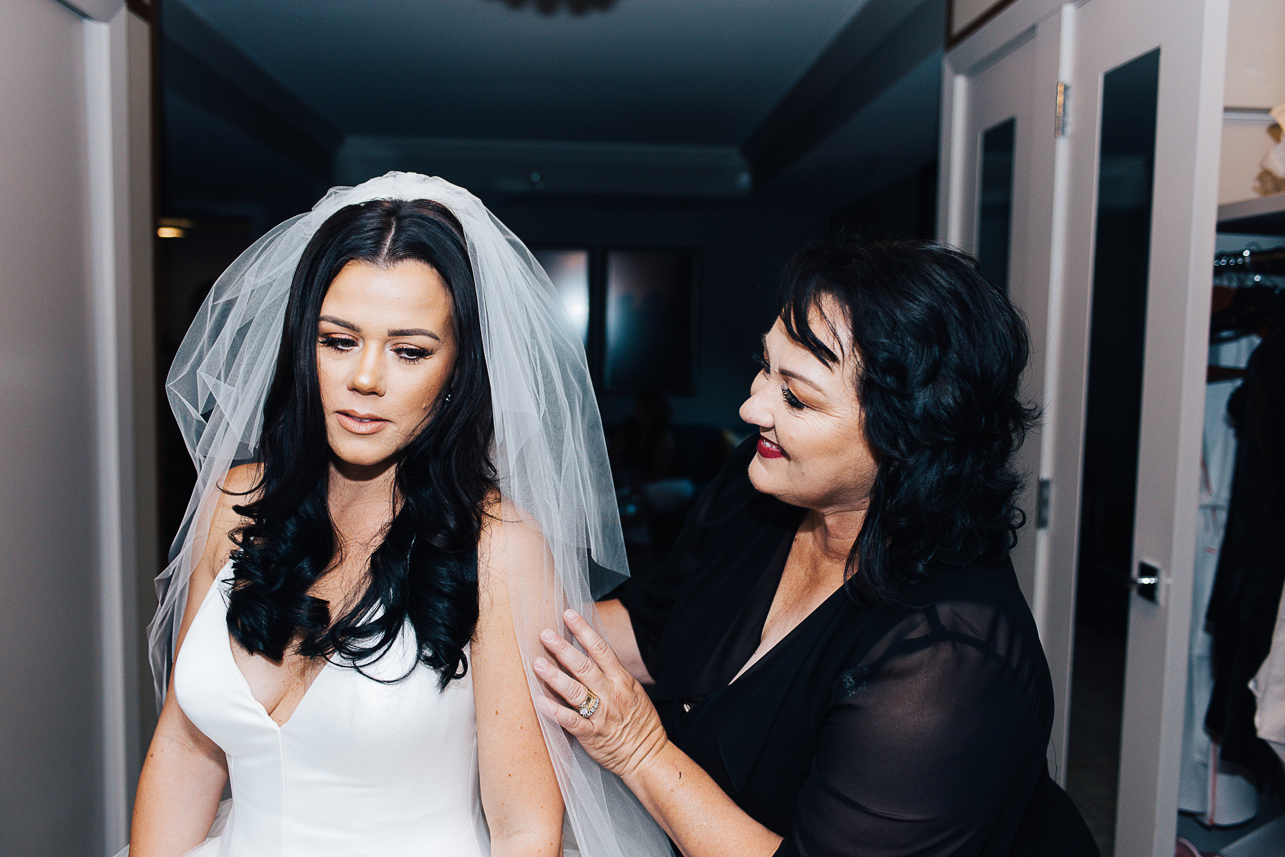 las vegas cosmopolitan wedding, las Vegas wedding, las vegas elopement, vegas wedding, vera wang wedding dress, handsome groom, beautiful bride, las vegas wedding photography, wedding inspiration, 1,000 roses, roses, simple wedding, classic wedding, vintage wedding, wedding photographer, ashley marie myers