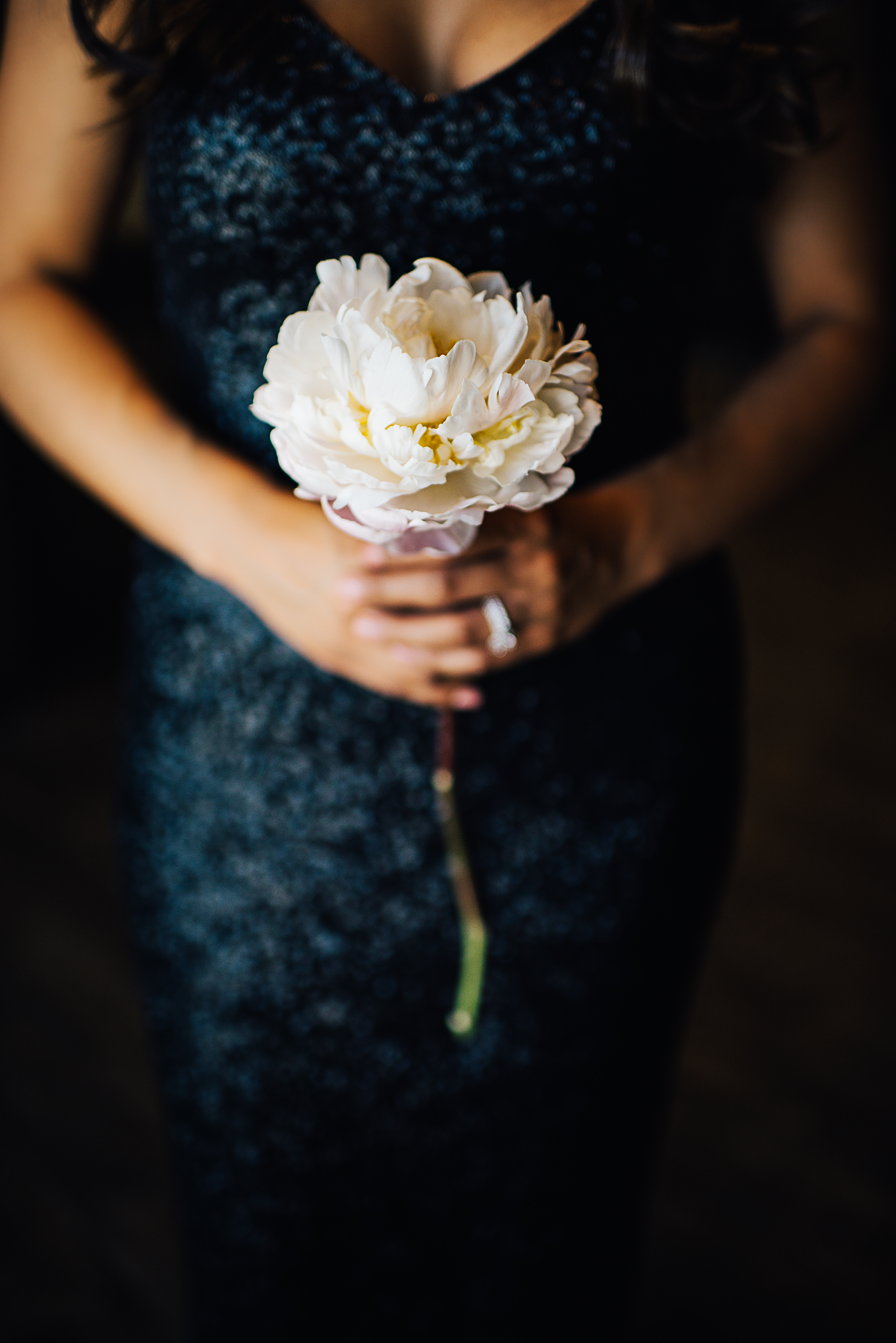 las vegas cosmopolitan wedding, las Vegas wedding, las vegas elopement, vegas wedding, vera wang wedding dress, handsome groom, beautiful bride, las vegas wedding photography, wedding inspiration, 1,000 roses, roses, simple wedding, classic wedding, vintage wedding, wedding photographer, ashley marie myers