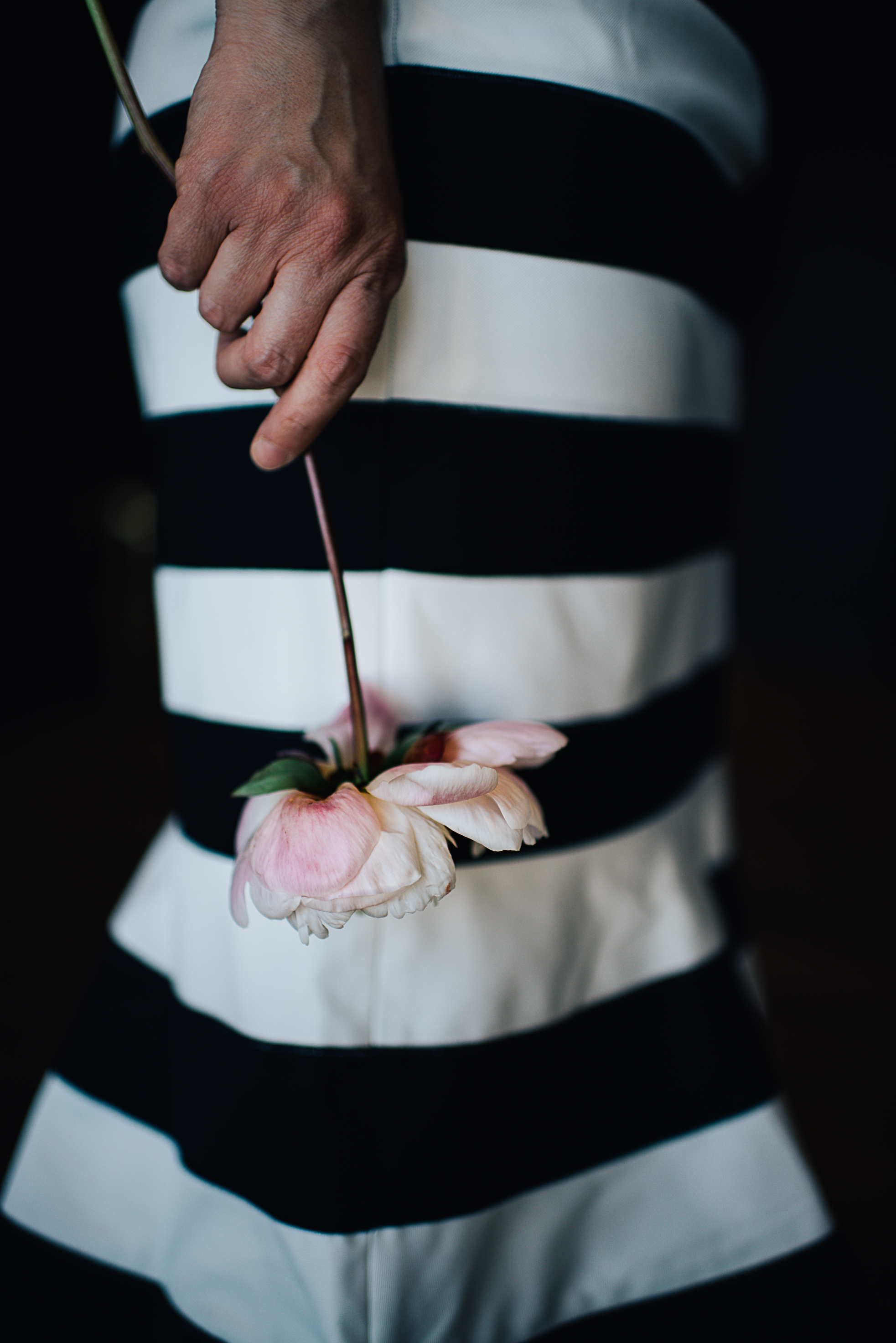 las vegas cosmopolitan wedding, las Vegas wedding, las vegas elopement, vegas wedding, vera wang wedding dress, handsome groom, beautiful bride, las vegas wedding photography, wedding inspiration, 1,000 roses, roses, simple wedding, classic wedding, vintage wedding, wedding photographer, ashley marie myers