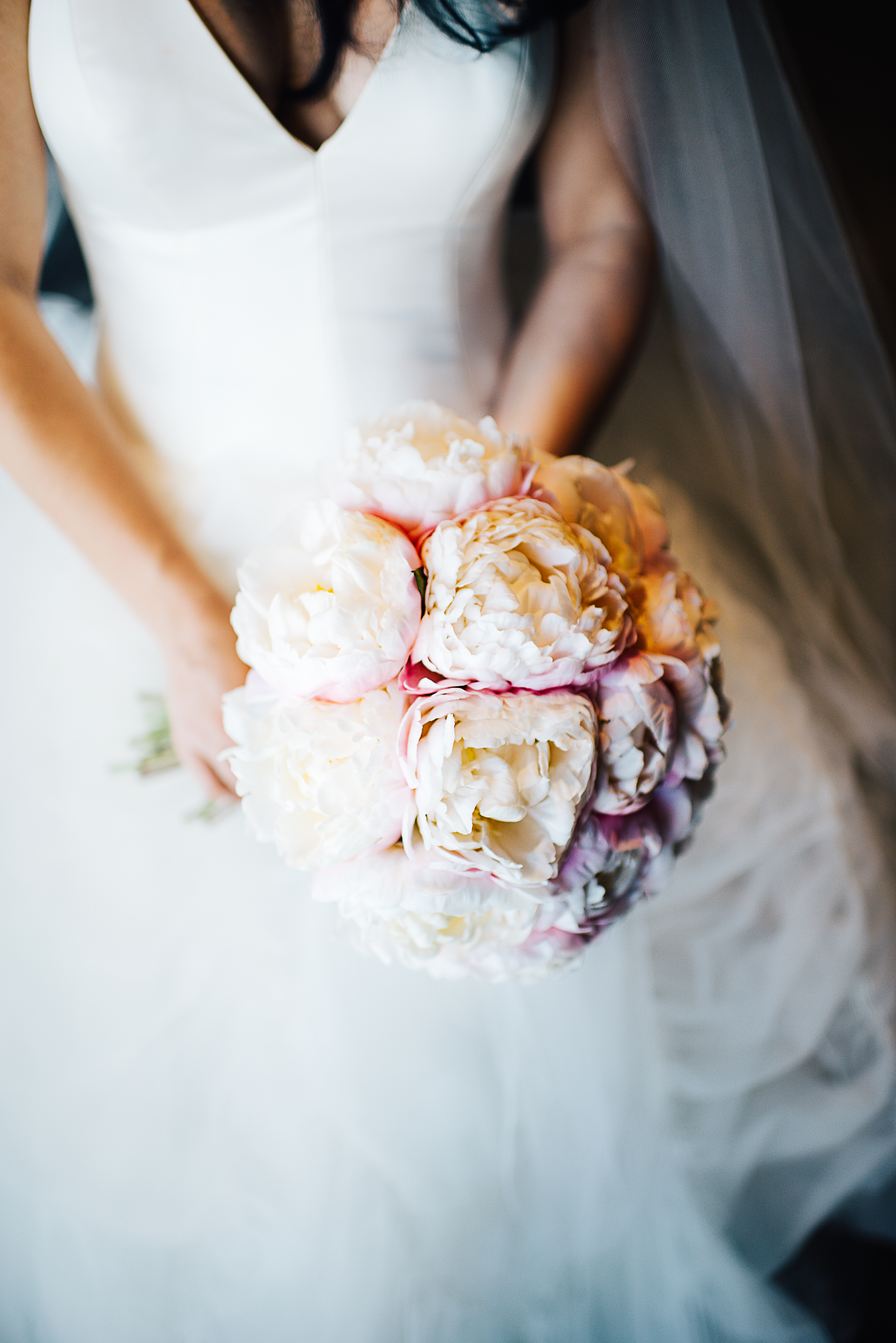 las vegas cosmopolitan wedding, las Vegas wedding, las vegas elopement, vegas wedding, vera wang wedding dress, handsome groom, beautiful bride, las vegas wedding photography, wedding inspiration, 1,000 roses, roses, simple wedding, classic wedding, vintage wedding, wedding photographer, ashley marie myers