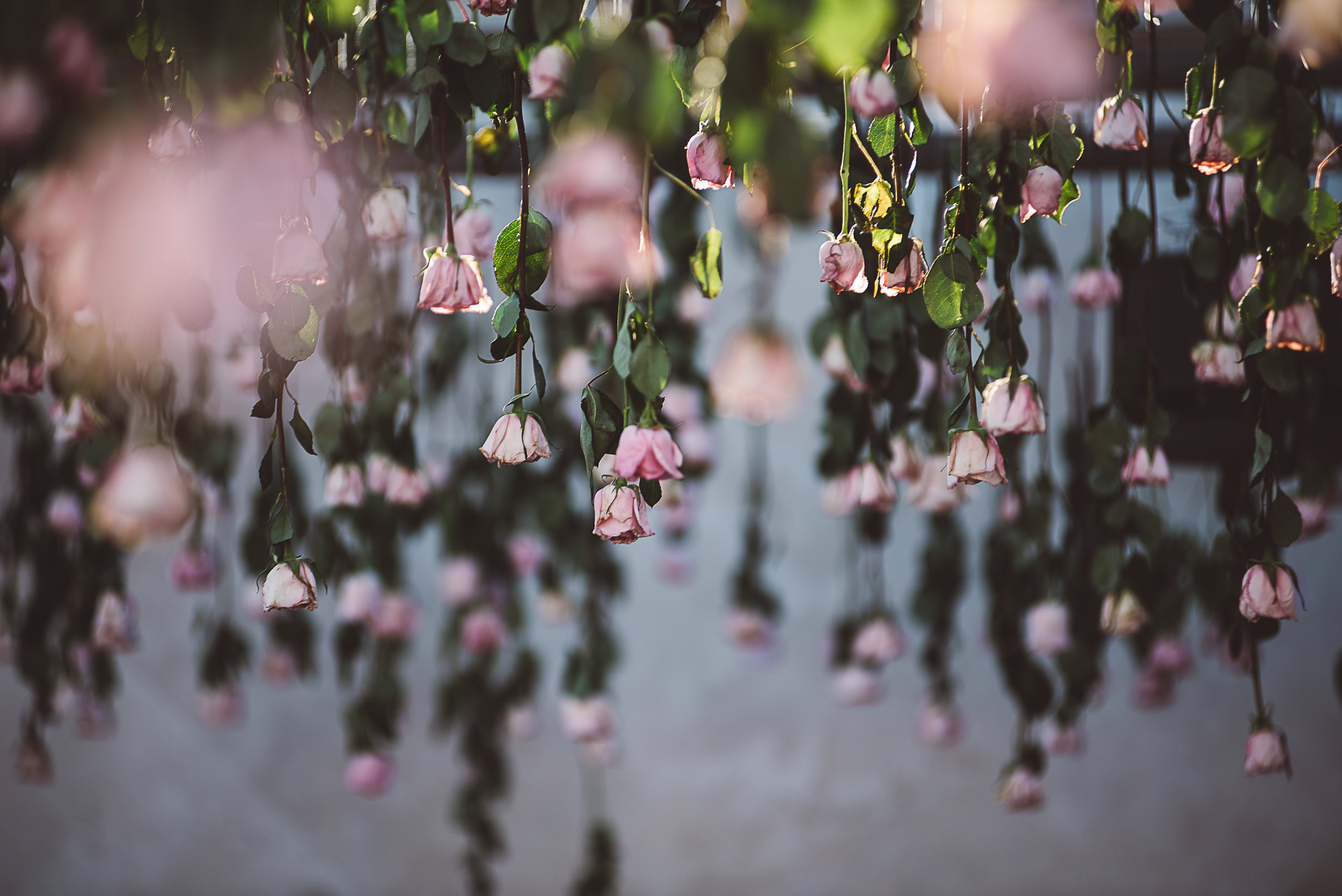 las vegas cosmopolitan wedding, las Vegas wedding, las vegas elopement, vegas wedding, vera wang wedding dress, handsome groom, beautiful bride, las vegas wedding photography, wedding inspiration, 1,000 roses, roses, simple wedding, classic wedding, vintage wedding, wedding photographer, ashley marie myers