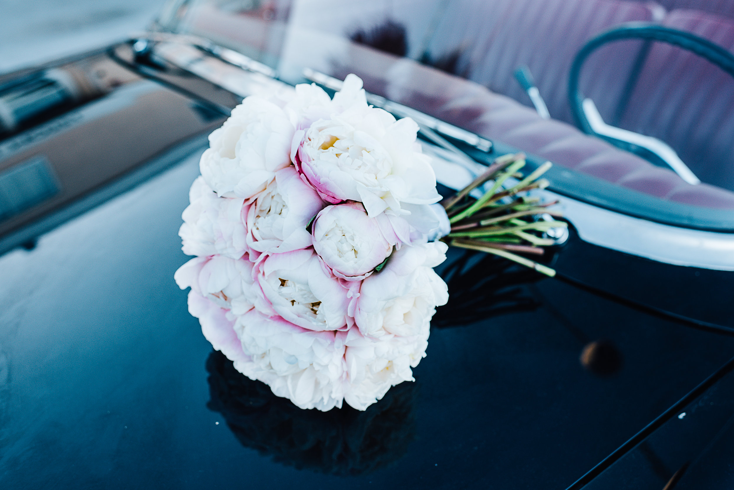 las vegas cosmopolitan wedding, las Vegas wedding, las vegas elopement, vegas wedding, vera wang wedding dress, handsome groom, beautiful bride, las vegas wedding photography, wedding inspiration, 1,000 roses, roses, simple wedding, classic wedding, vintage wedding, wedding photographer, ashley marie myers