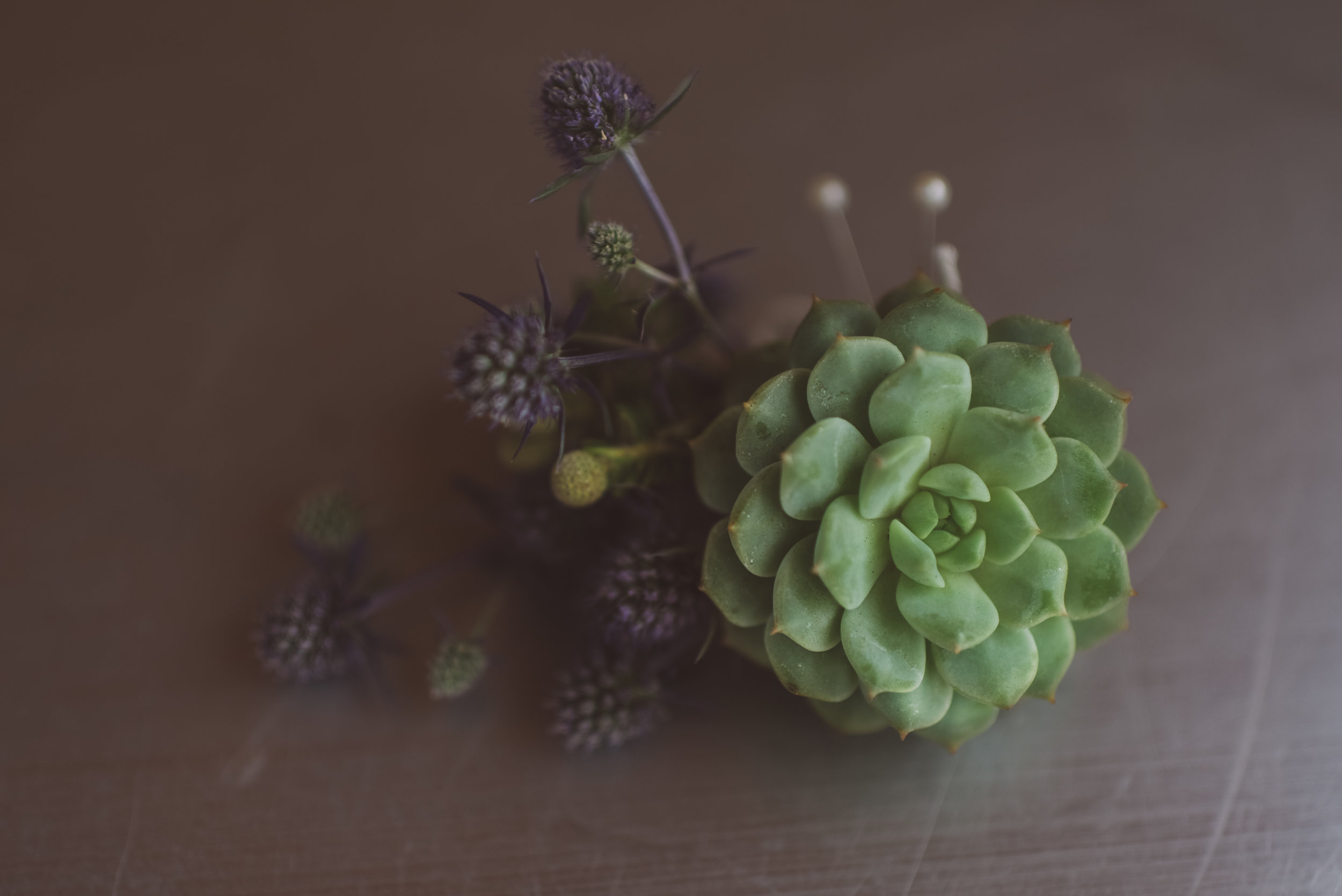 FLora Pop Desert Ceremony Red Rock Las Vegas Photography by Ashley Marie-4.jpg