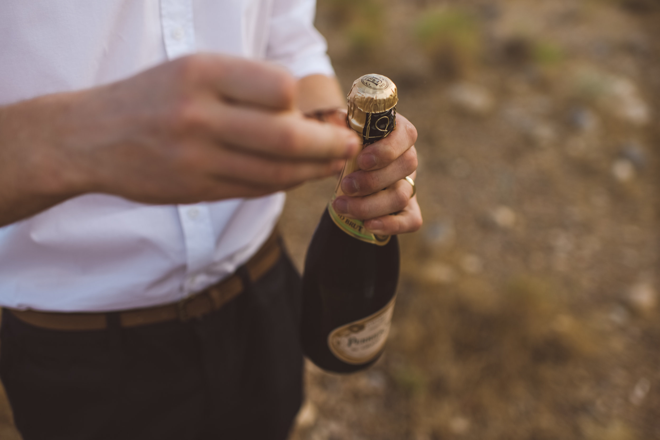 FLora Pop Desert Ceremony Red Rock Las Vegas Photography by Ashley Marie-100.jpg