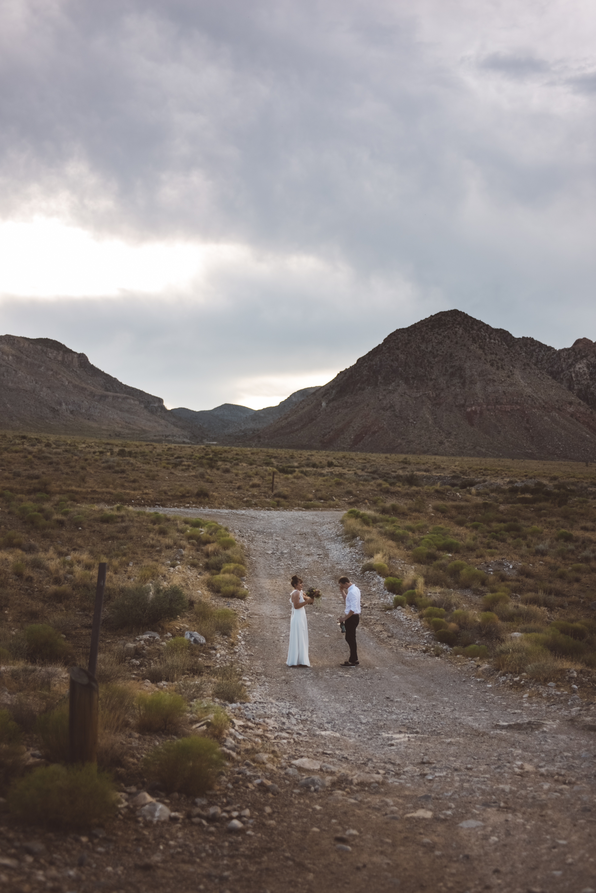 FLora Pop Desert Ceremony Red Rock Las Vegas Photography by Ashley Marie-166.jpg