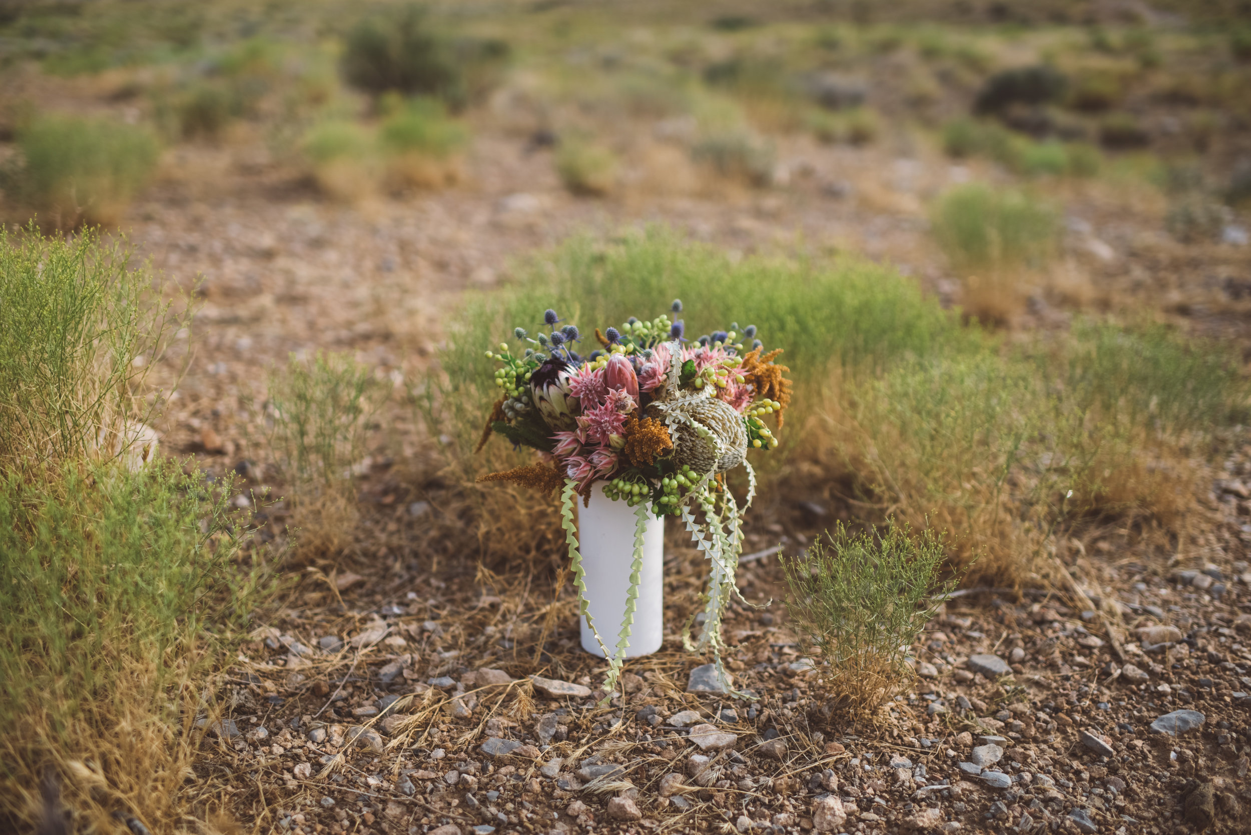 FLora Pop Desert Ceremony Red Rock Las Vegas Photography by Ashley Marie-2.jpg