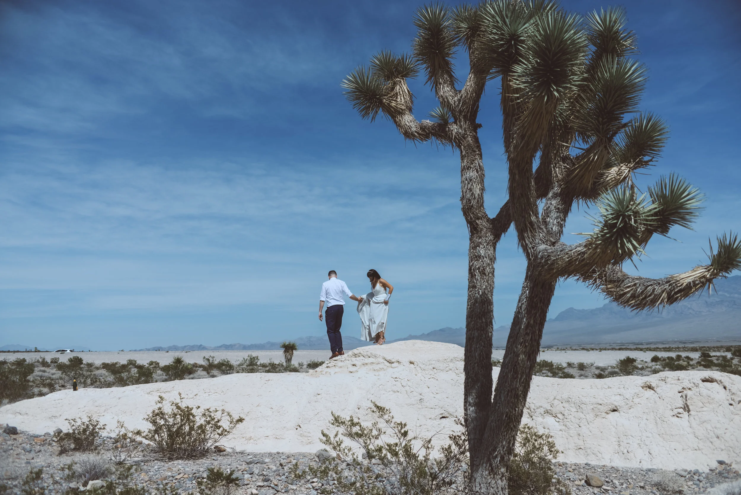 Lifestyle Photography by Ashley Marie Myers Neon Museum Elopemnt DTLV-311.jpg