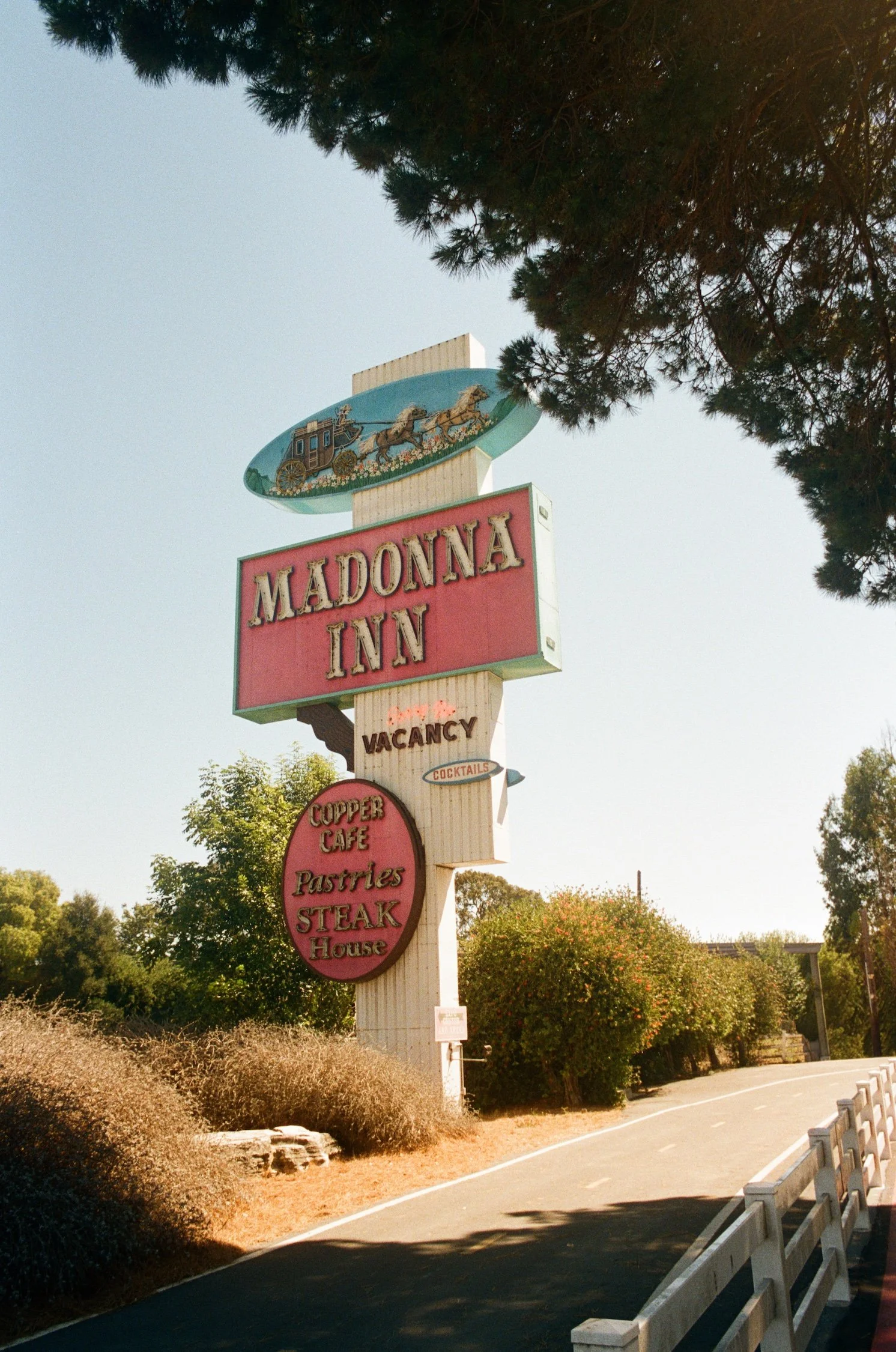 MADONNA INN WEDDING PORTRA 800 FILM PHOTOGRAPHY BY ASHLEY MYERS-14 copy.jpeg