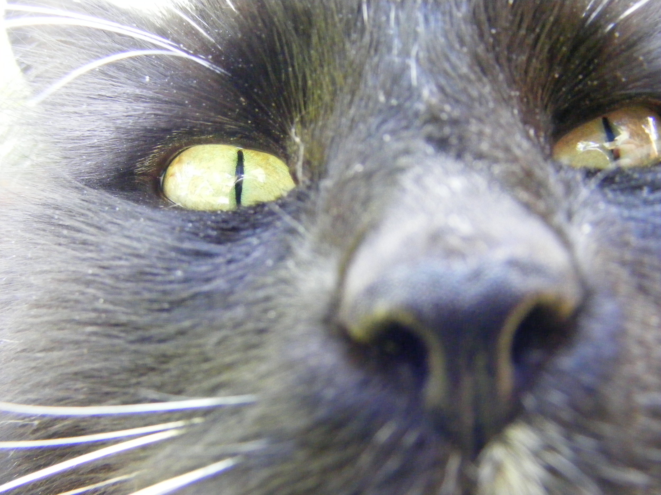 im ready for my close up.jpg