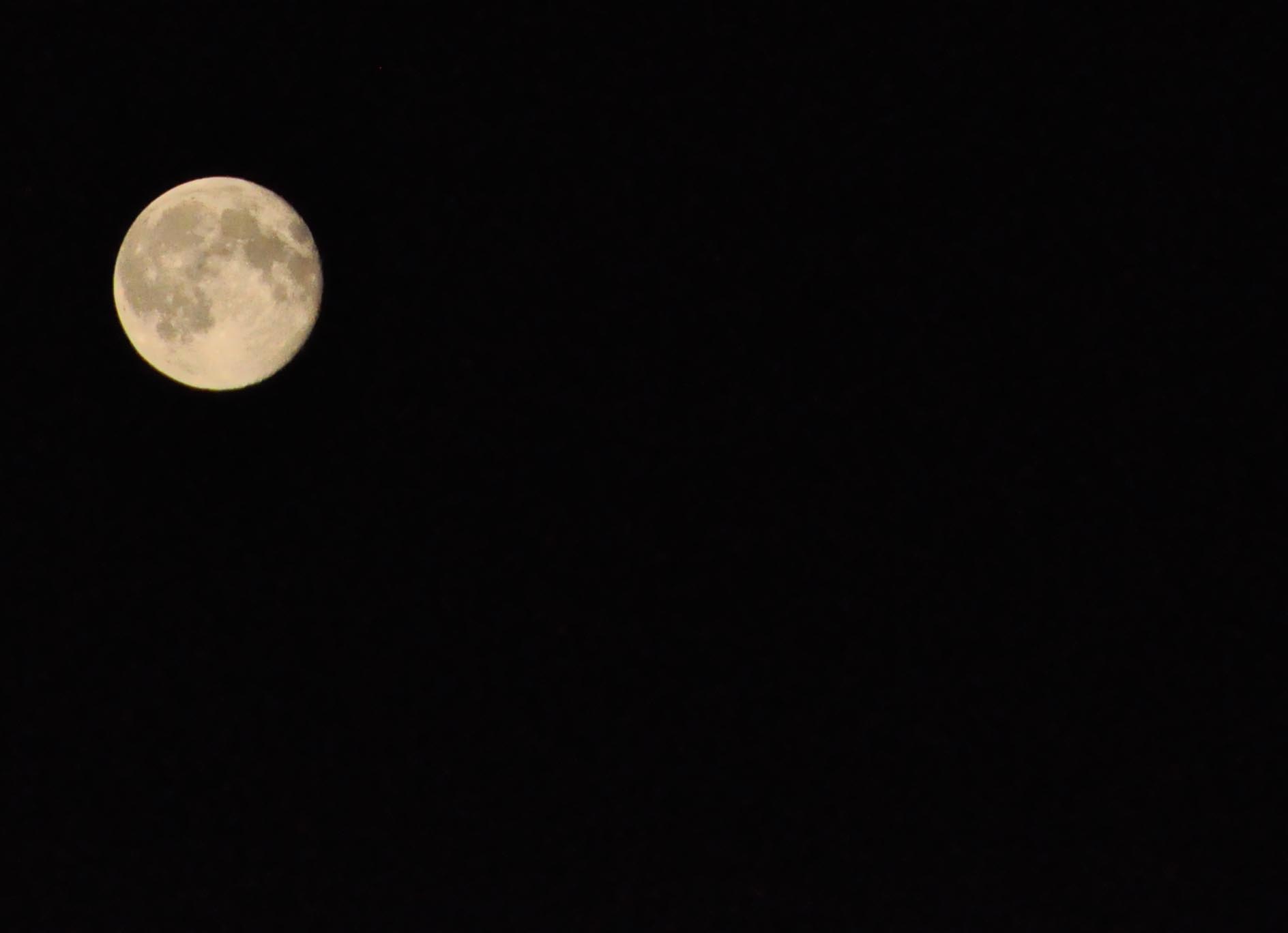 in the light of the moon.jpg
