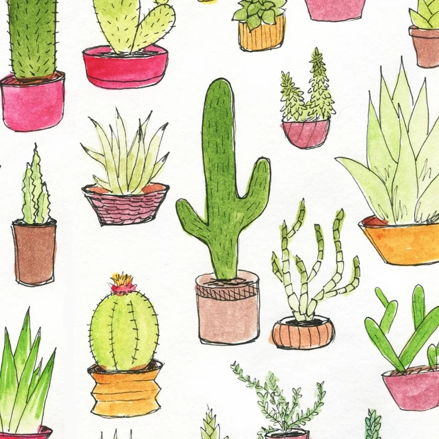 succulents copy.jpg
