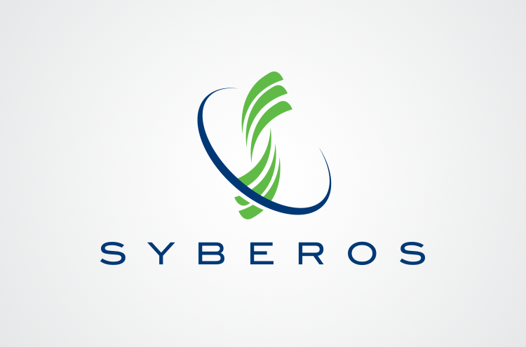 Syberos: Network monitoring and security services.