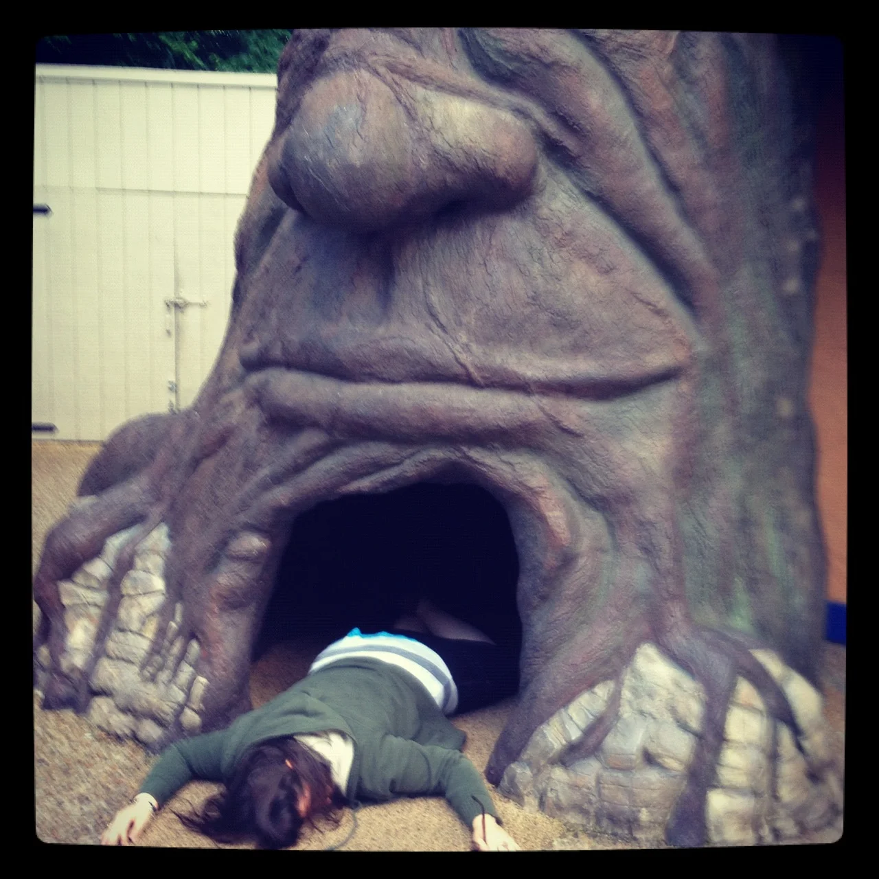   #deaddenah in a tree , 2012  Busch Gardens, Virginia 