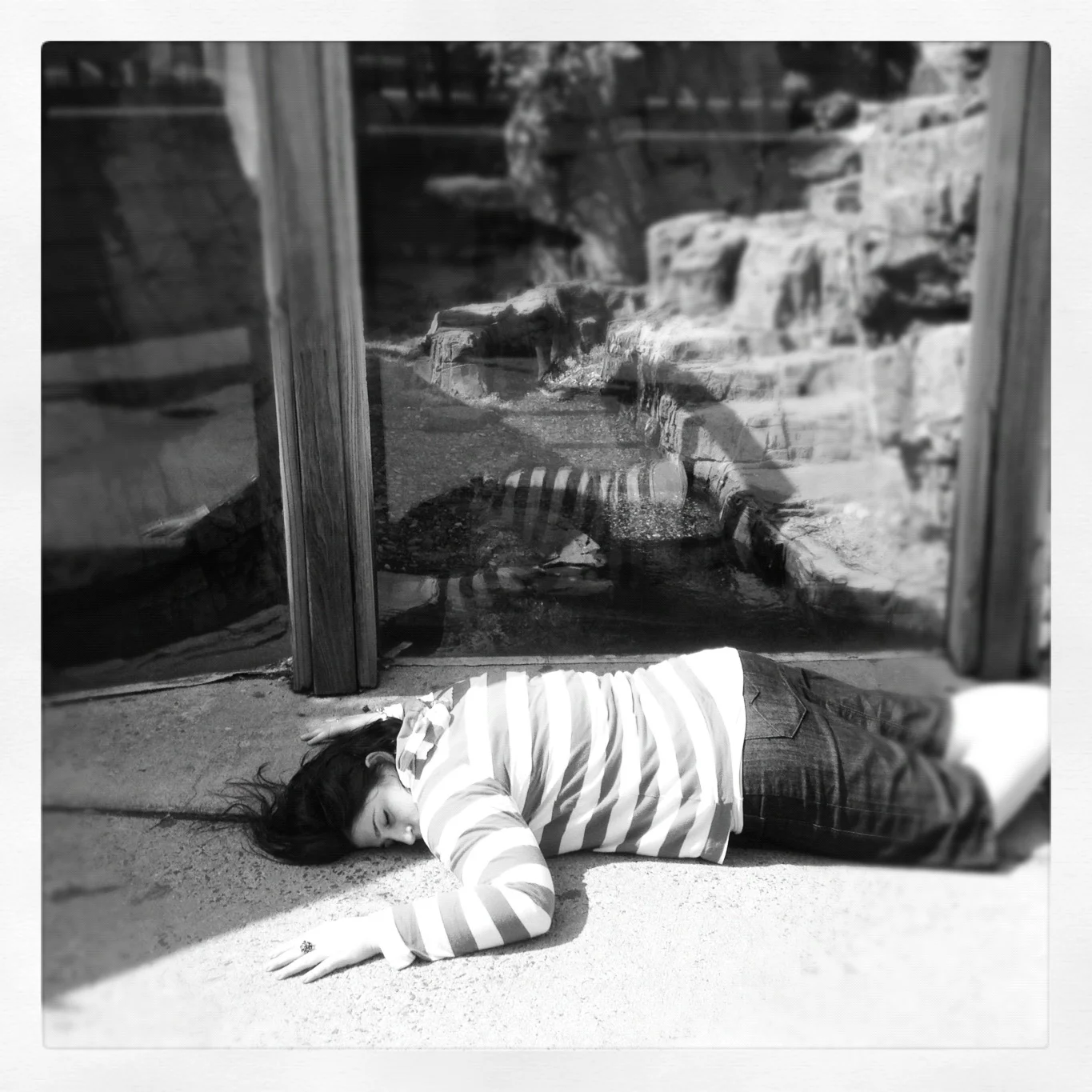   #deaddenah Goes To The Zoo , 2012  Central Park Zoo, NYC 